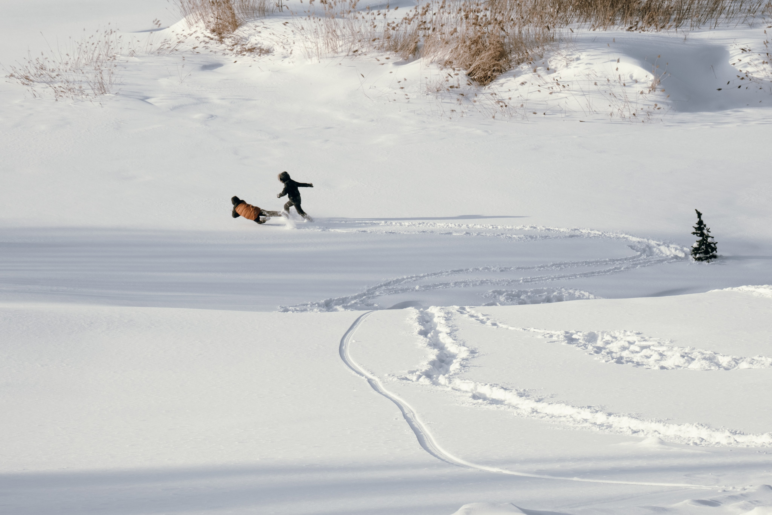 Фото в цвете. Molotov Photographer