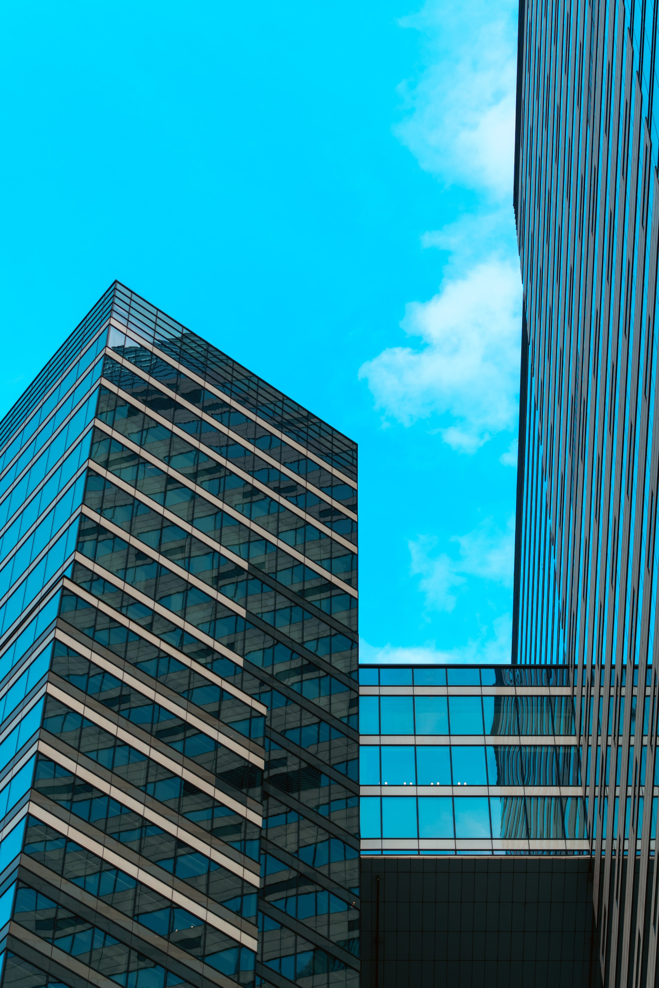 Москва. Фотограф в Санкт-Петербурге Ибрагимова Алина