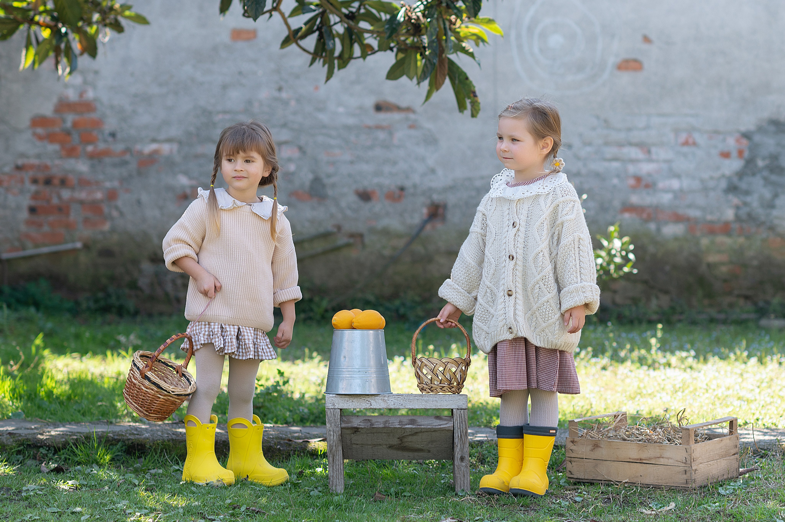 Курочки. Детский фотограф Абхазия