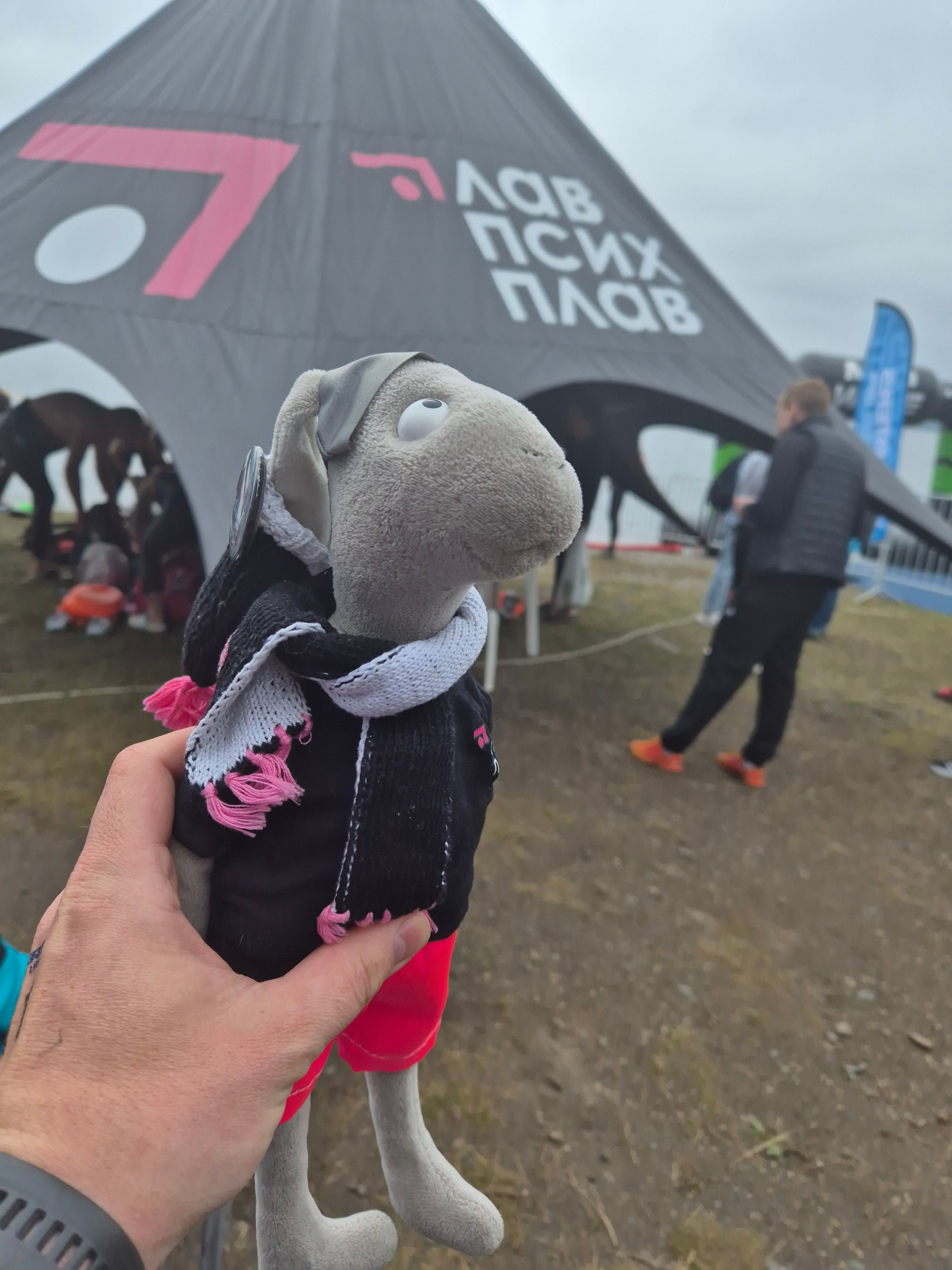 ГлавПсихПлав на старте всем составом, включая Психо-Зязю