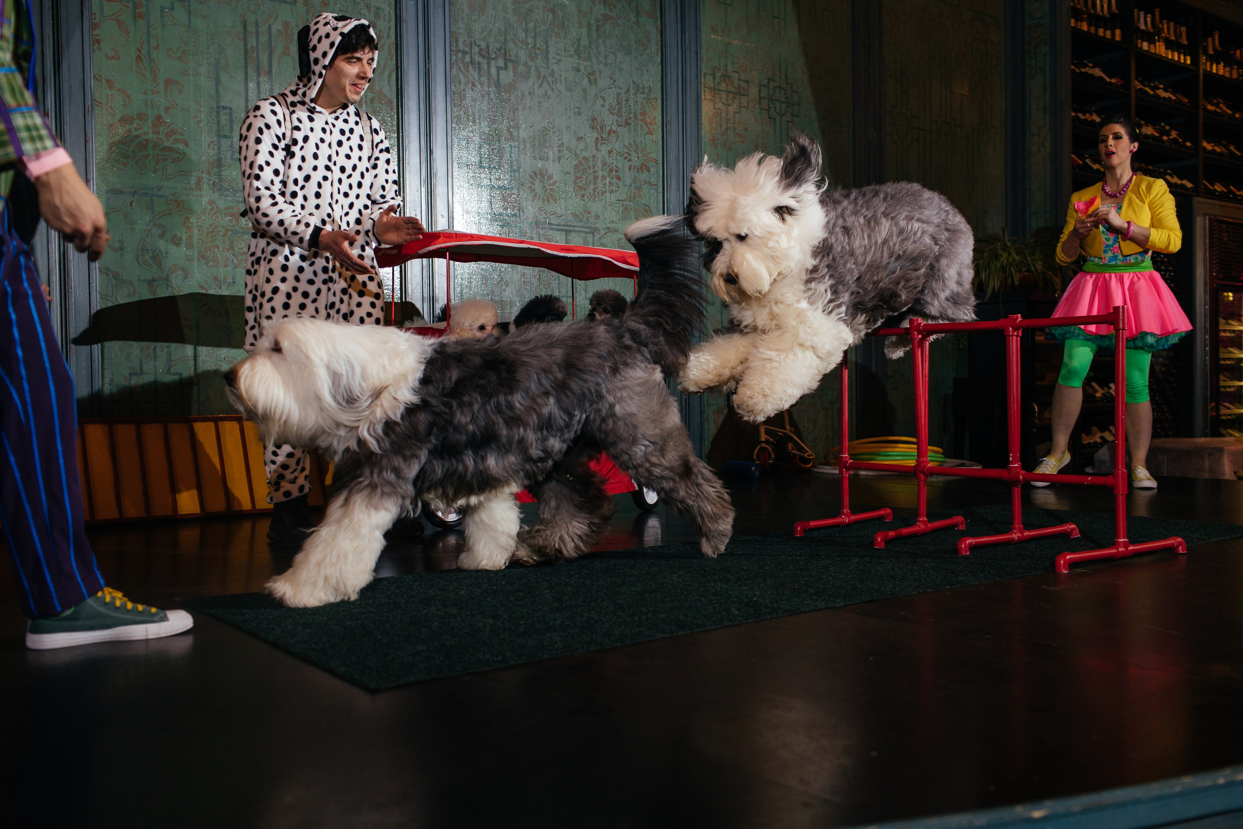 Алине 7 лет. Свадебный и семейный фотограф