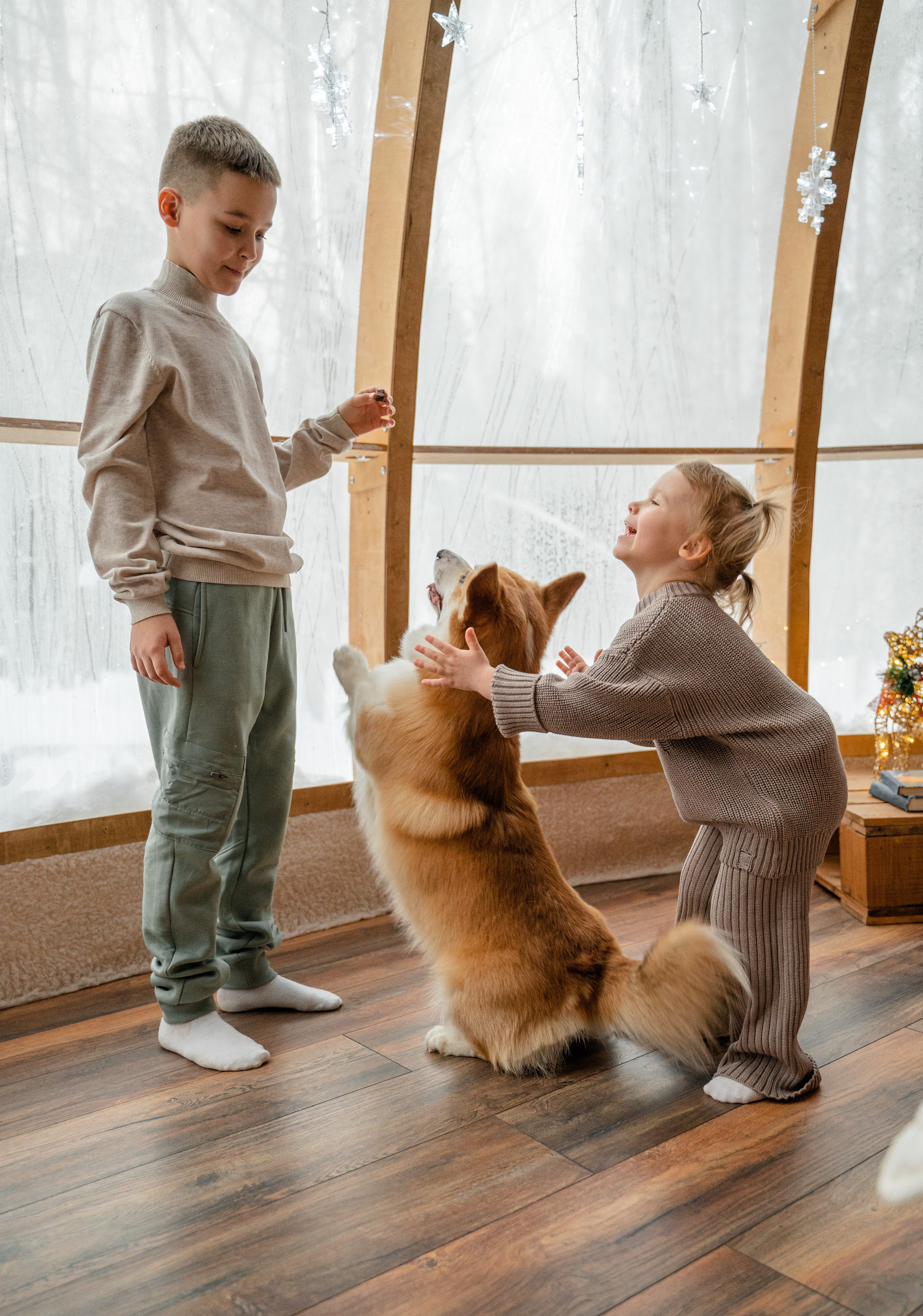 Юлия Bagio. Свадебный фотограф Ирина Димитриева