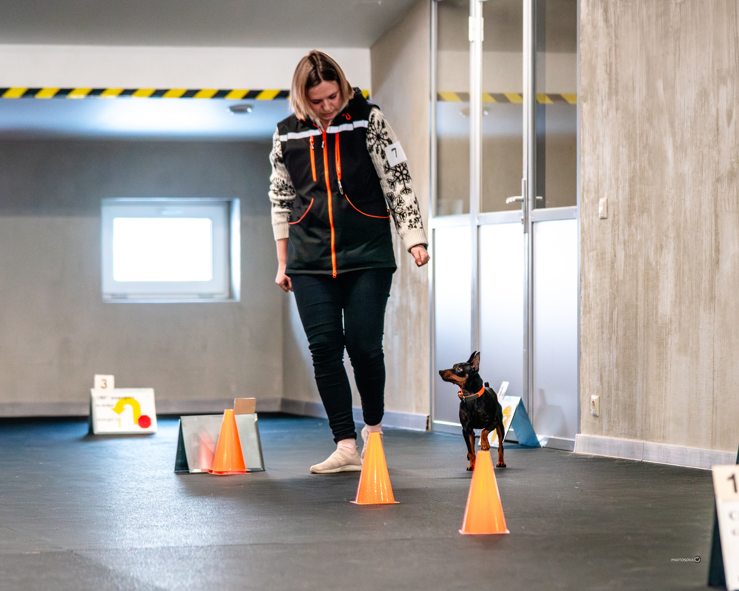 ТЫ И Я (соревнования по ралли-обидиенс). Фотограф-анималист, семейный фотограф в Москве и Подмосковье. Фотосъёмка кинологических дисциплин