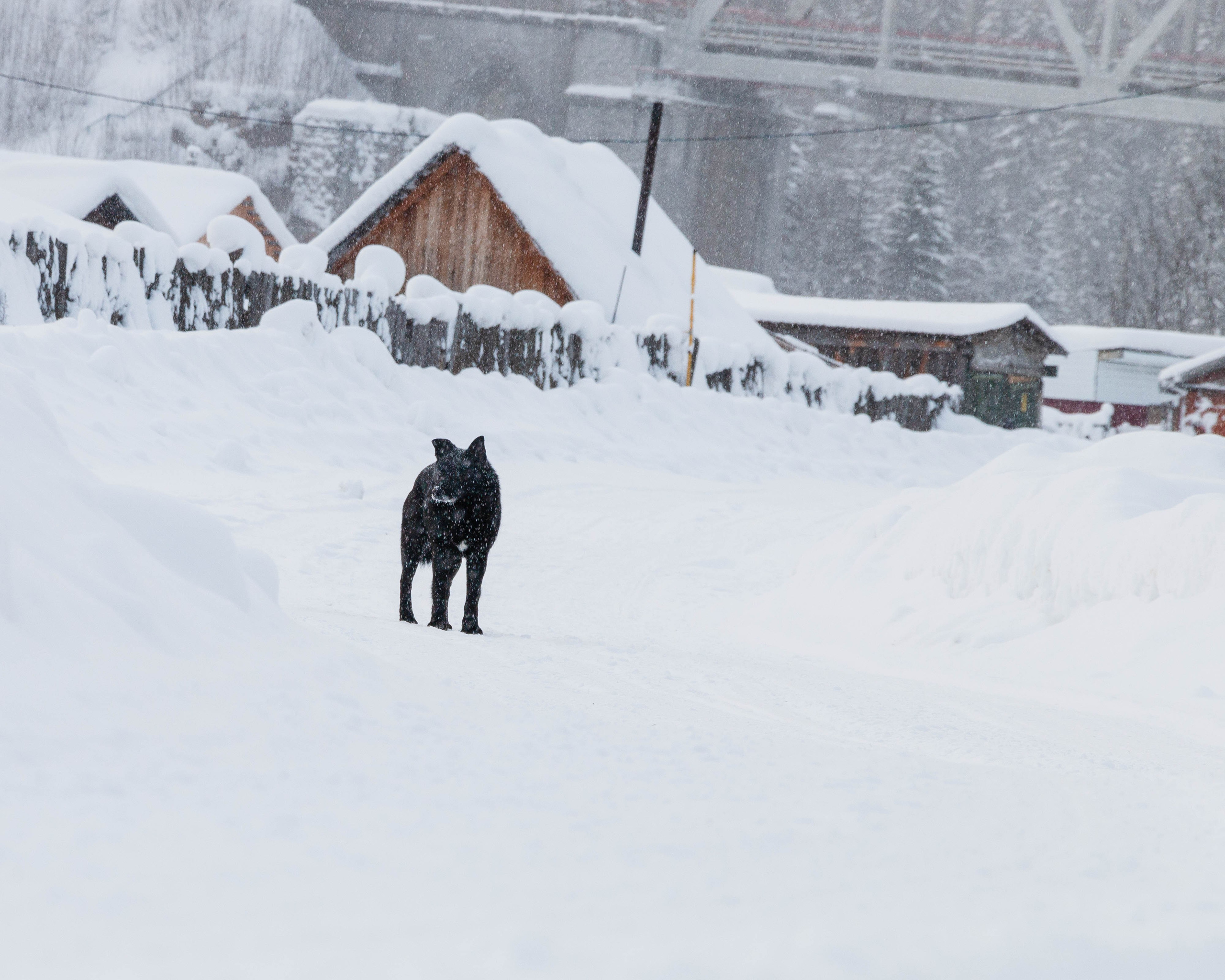 Усьва и усьвинские столбы. Олег Романов. Мастер фото по спорту