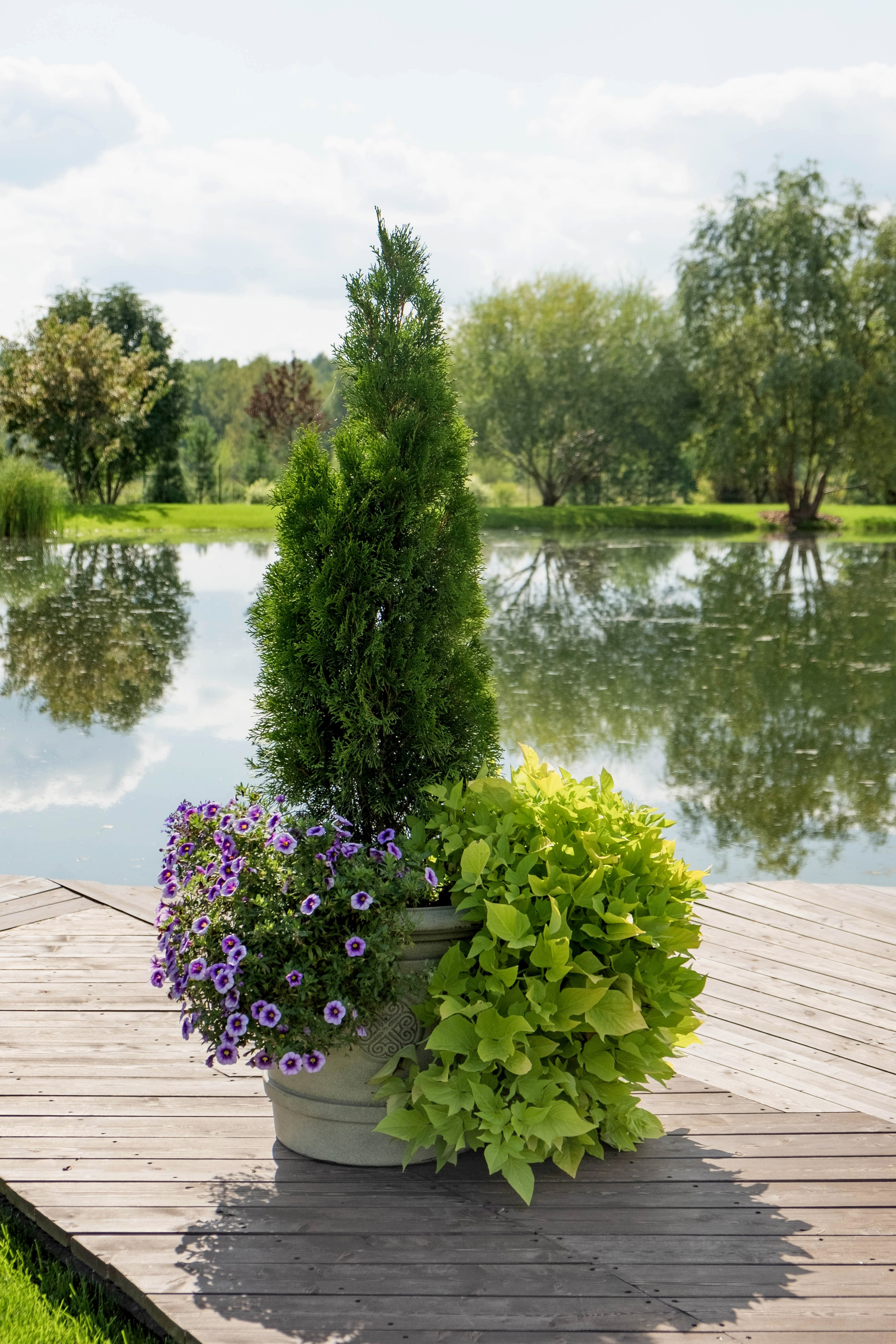 В стиле свободы. Свадебный и семейный фотограф в Новосибирске, Санкт-Петербурге, Москве