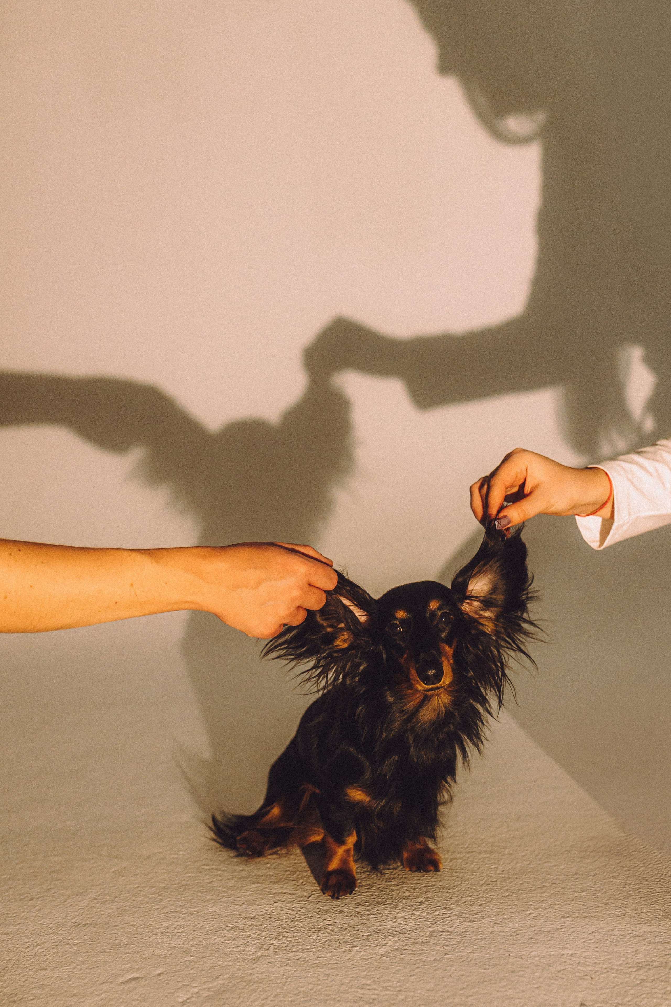 Натали, Свят и Эни