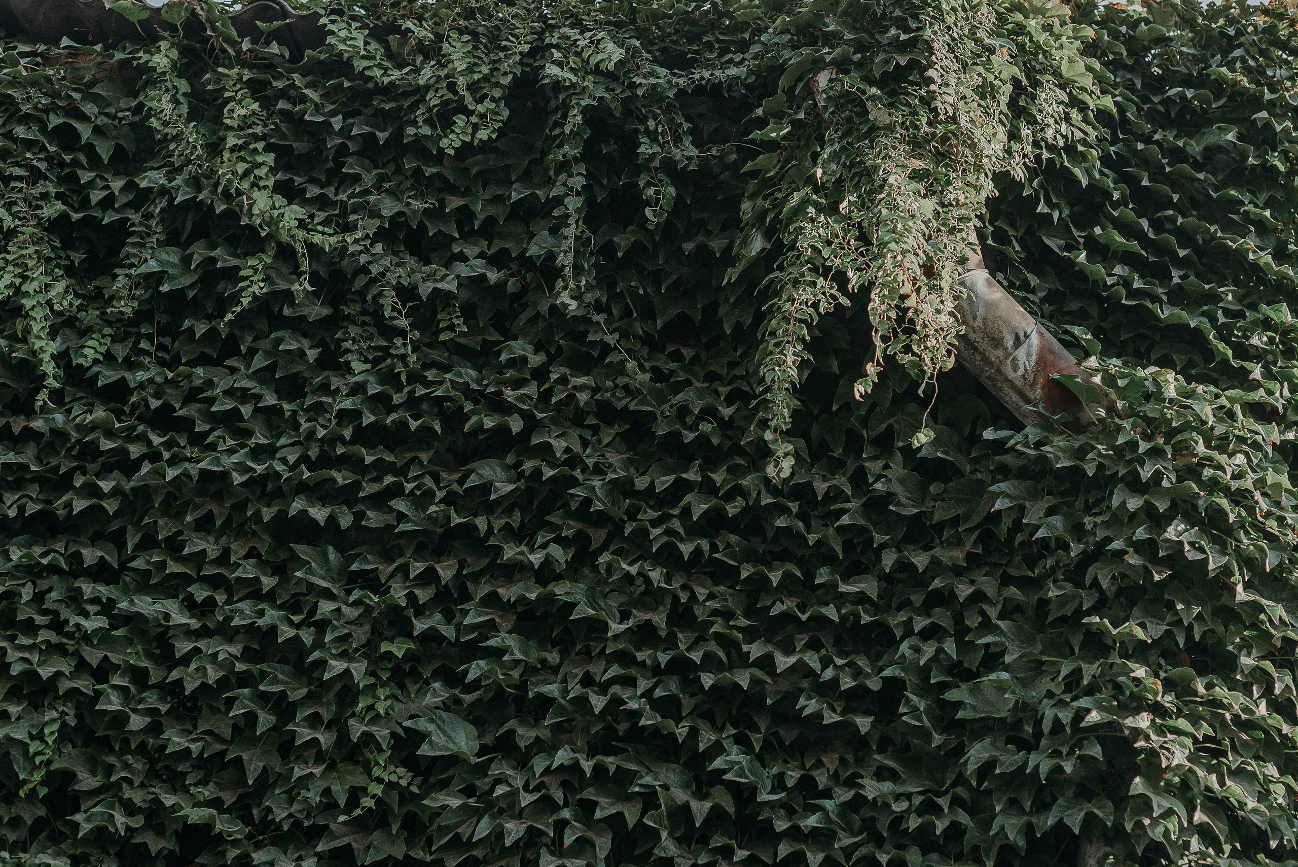 Путешествие по Ростову-на-Дону: взгляд рекламного фотографа. Коммерческий и предметный фотограф в Гуанчжоу Коваленко Александр