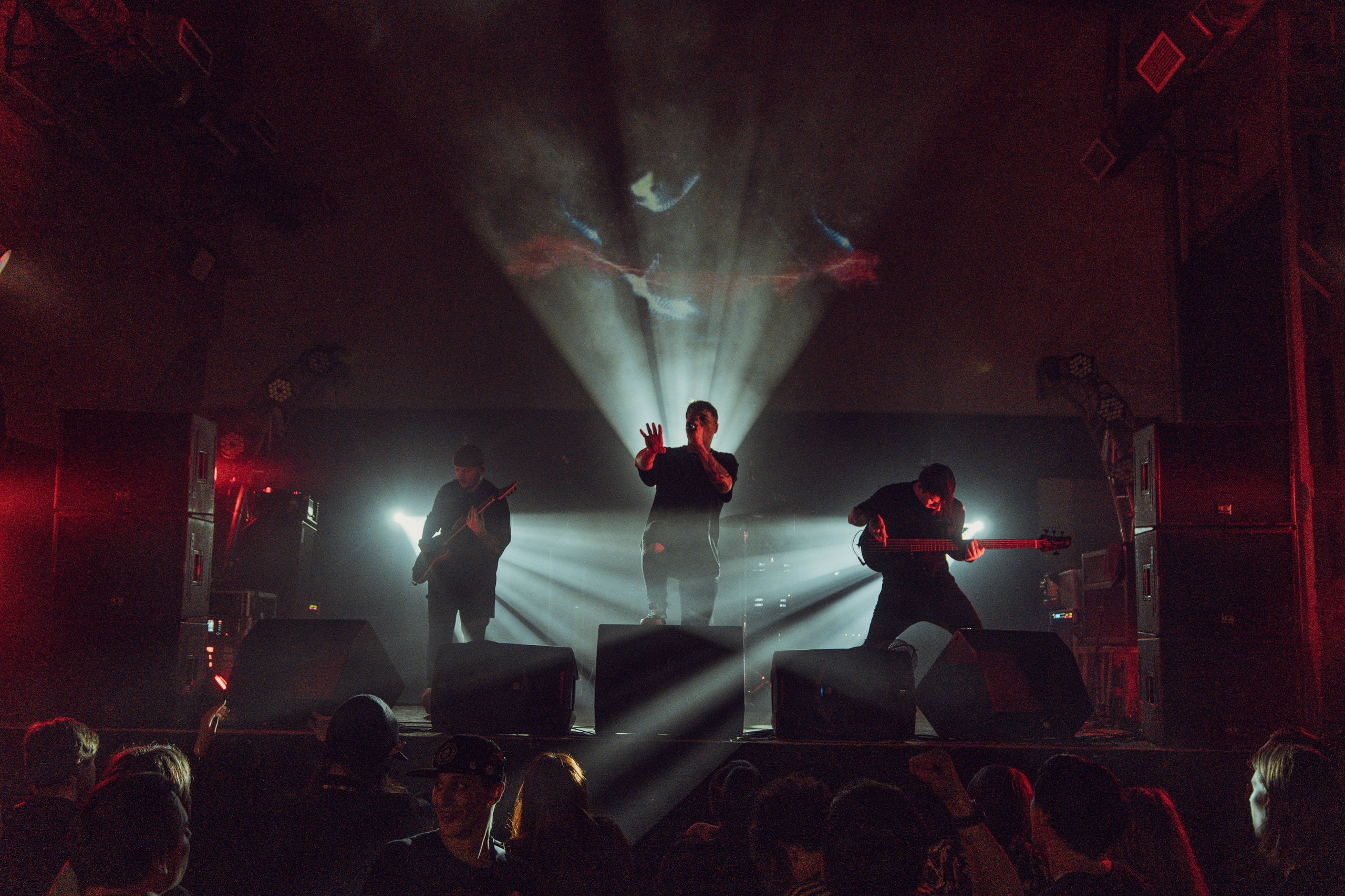 The Korea 12.01.2024. Фотограф Дядя Сник