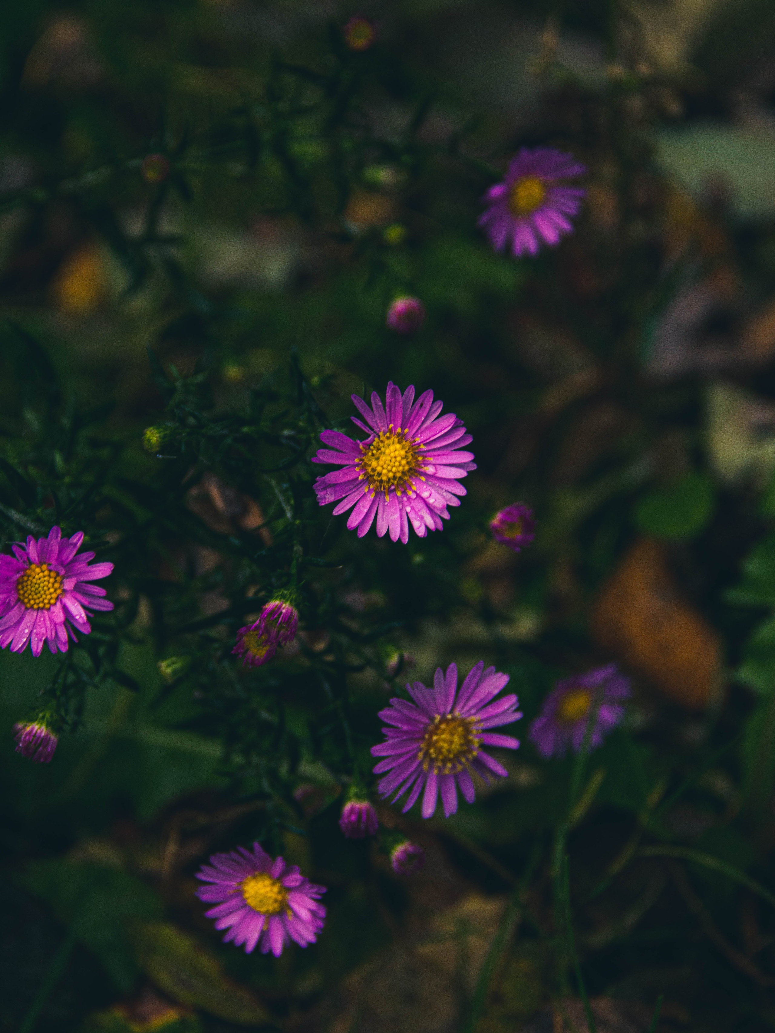 Село Петрилово (28.09.24). «Матрица»