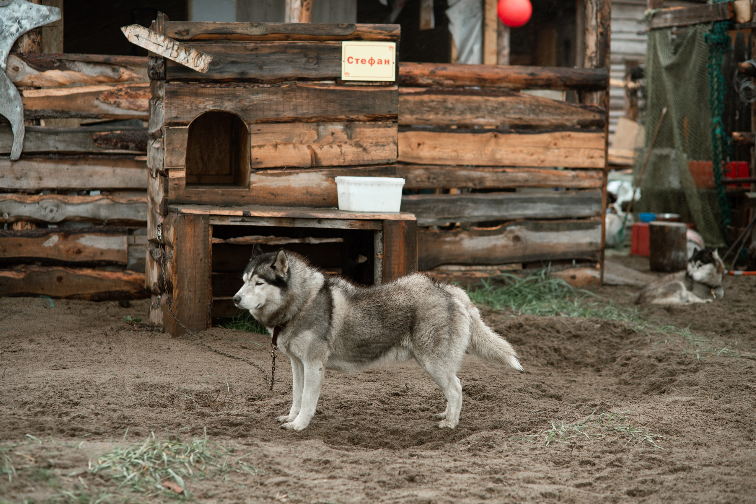 Мурманск. Фотограф Сергей Красильников