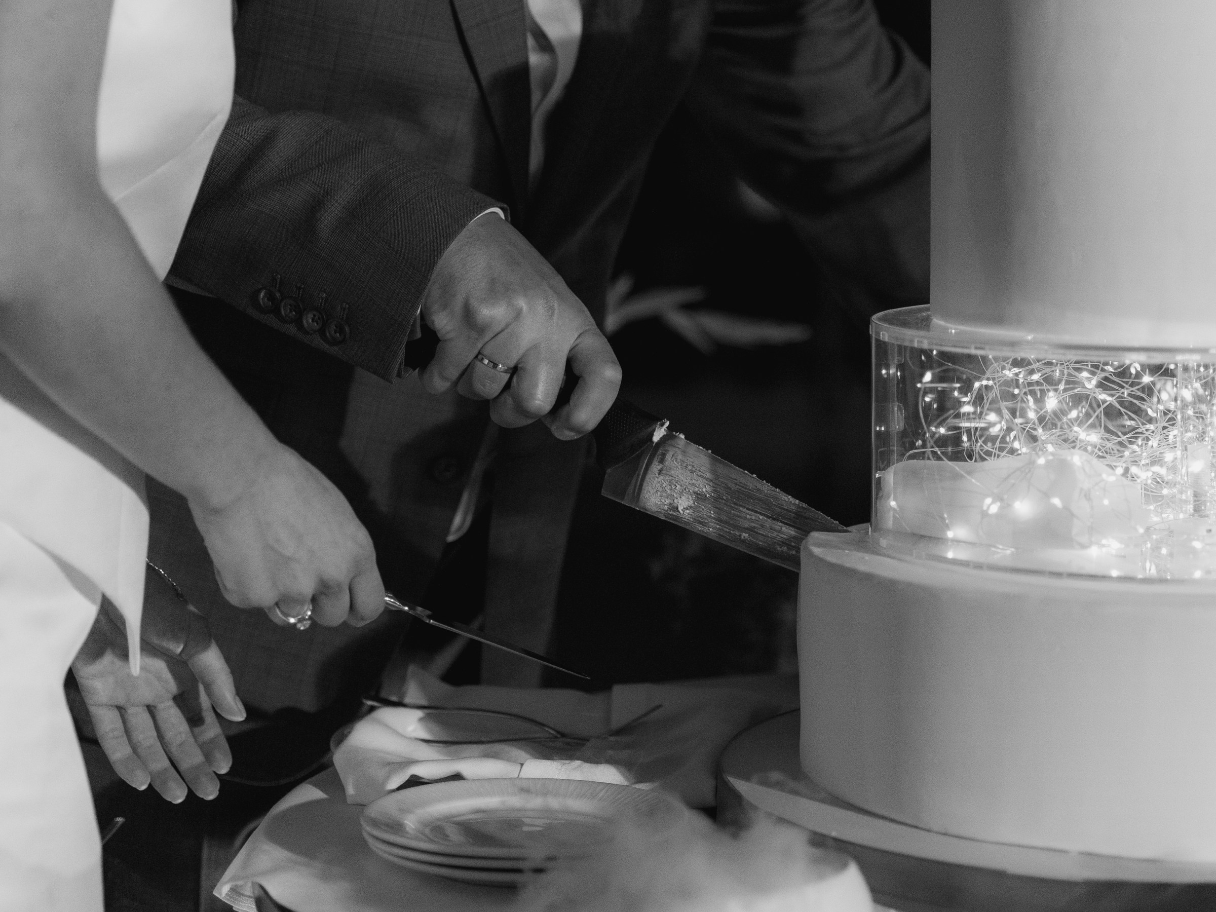 «Семейное древо». Свадебный и семейный фотограф в Калининграде Ольга Мешечкова