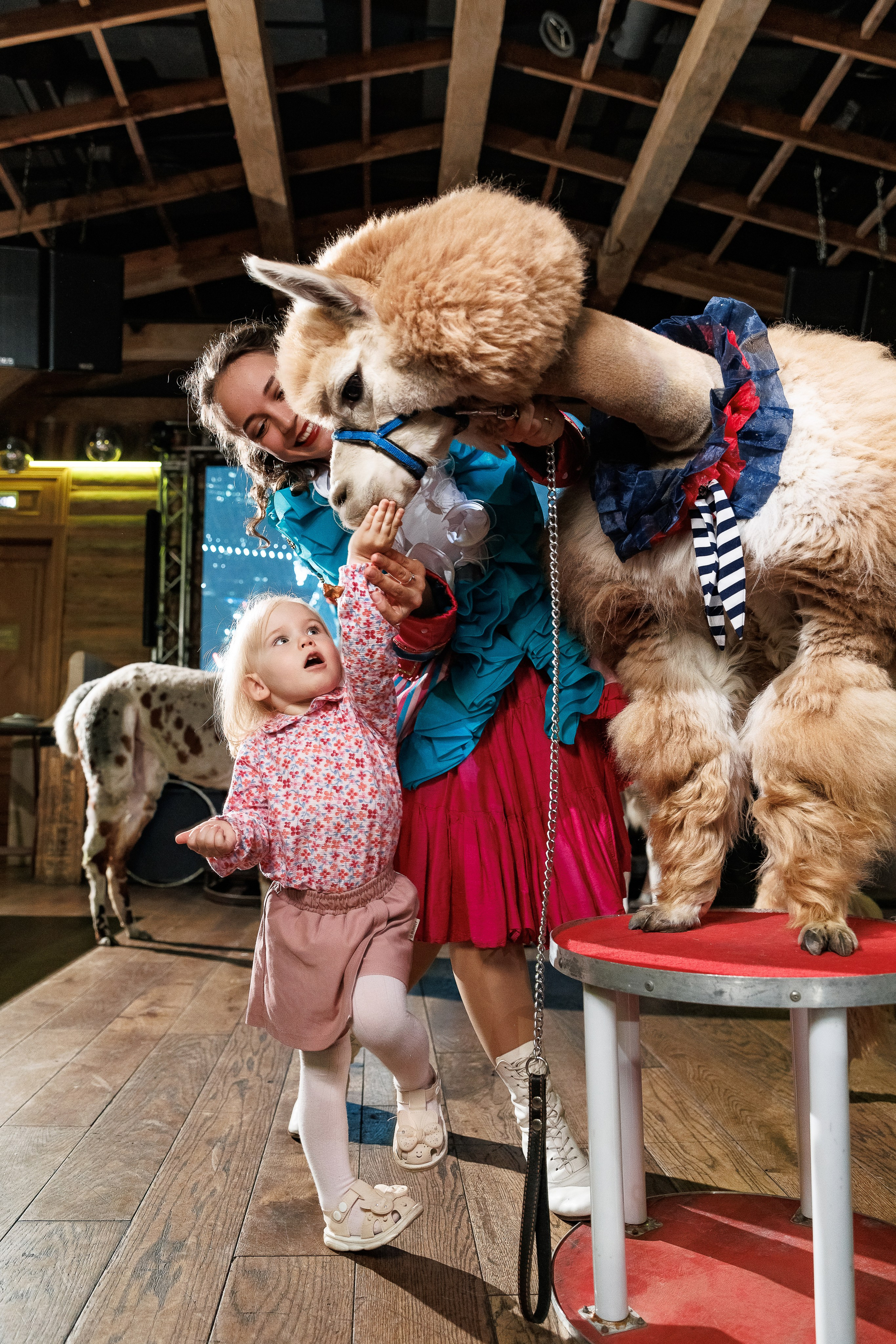 Фотограф на детское день рождения. Москва и Московская область. Репортажный Фотограф Александр Назаров. Москва и М.О