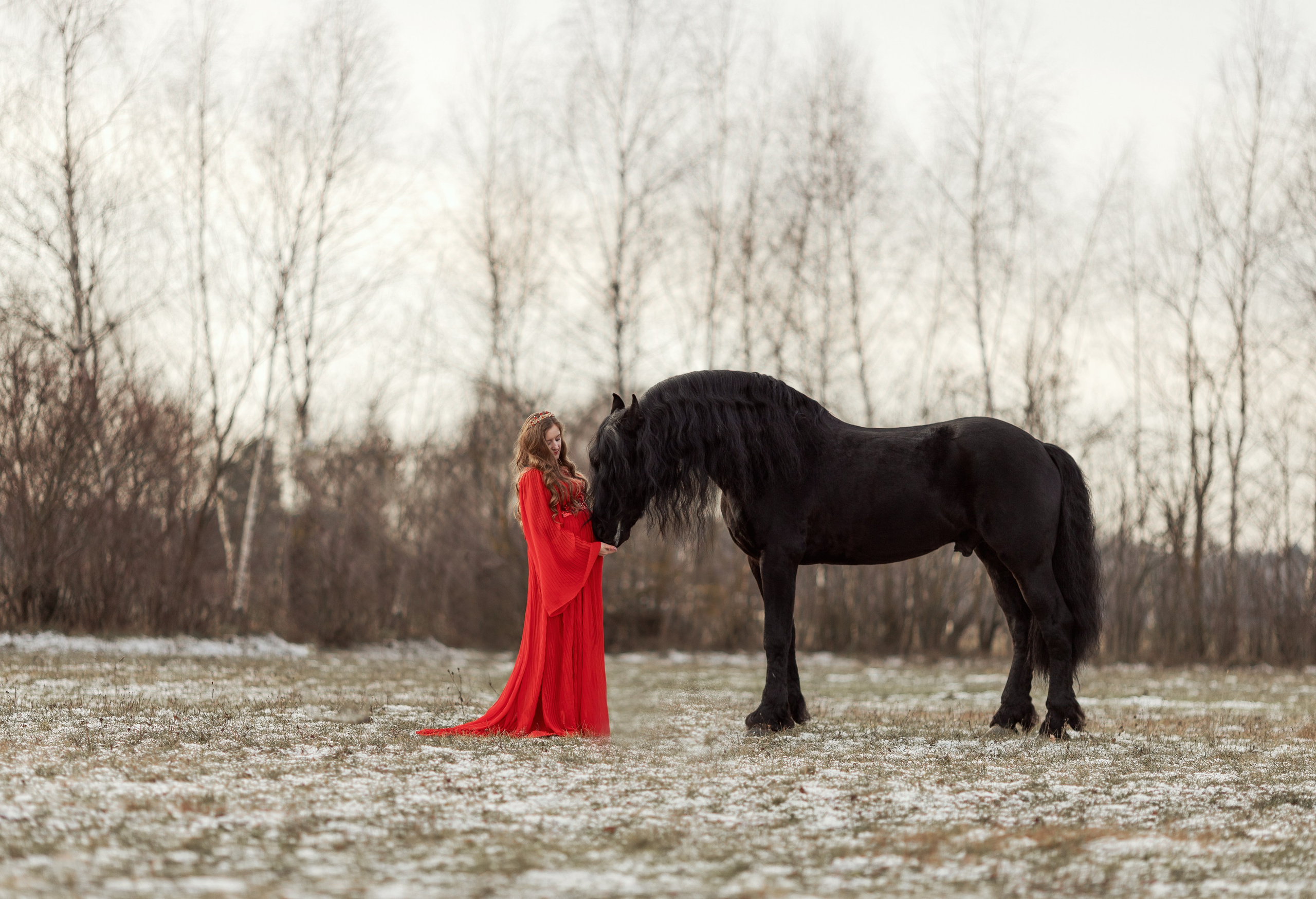 Фотосессии с лошадьми. Фотосессии с лошадьми в Москве от Конный фотографа Кутейниковой Светланы