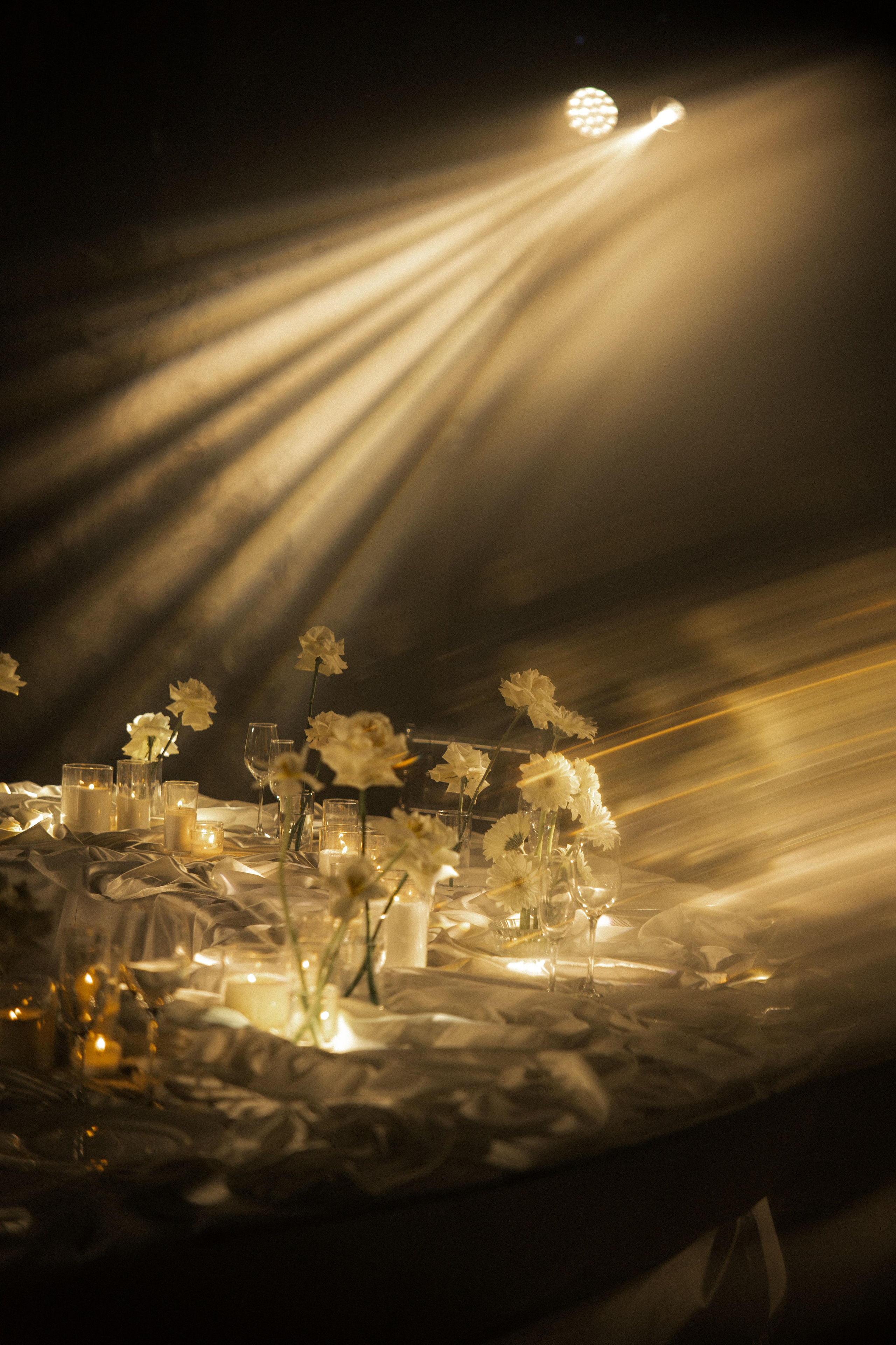 Вероника & Максим. Phdkvmr.ru