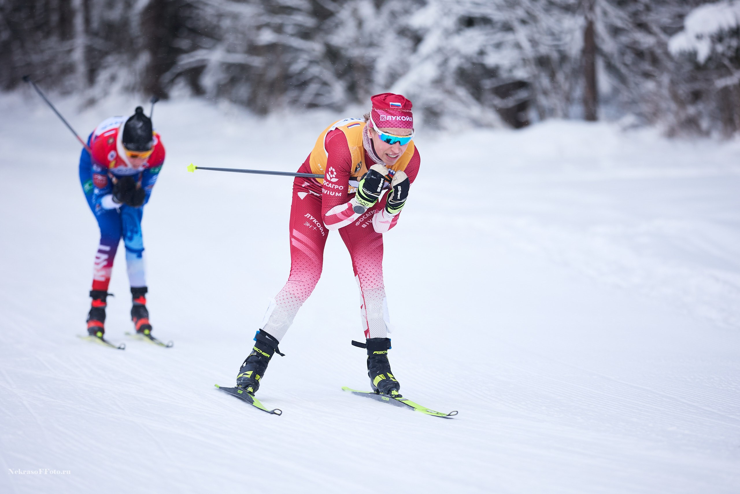 Кубок России по Лыжным гонкам. Спортивный фотограф Некрасов Денис