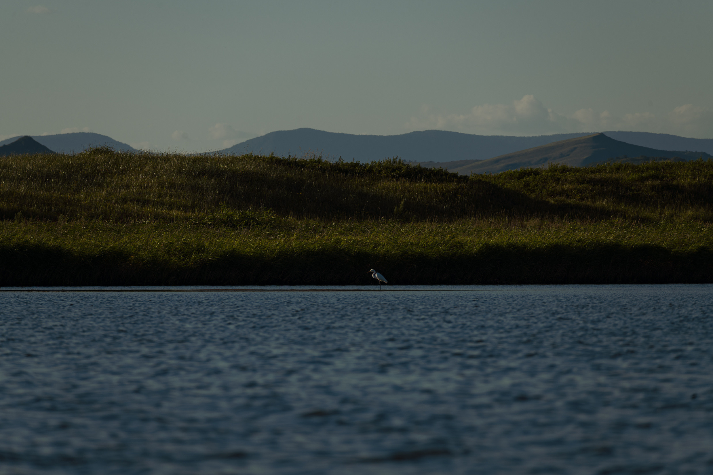 фотограф владивосток