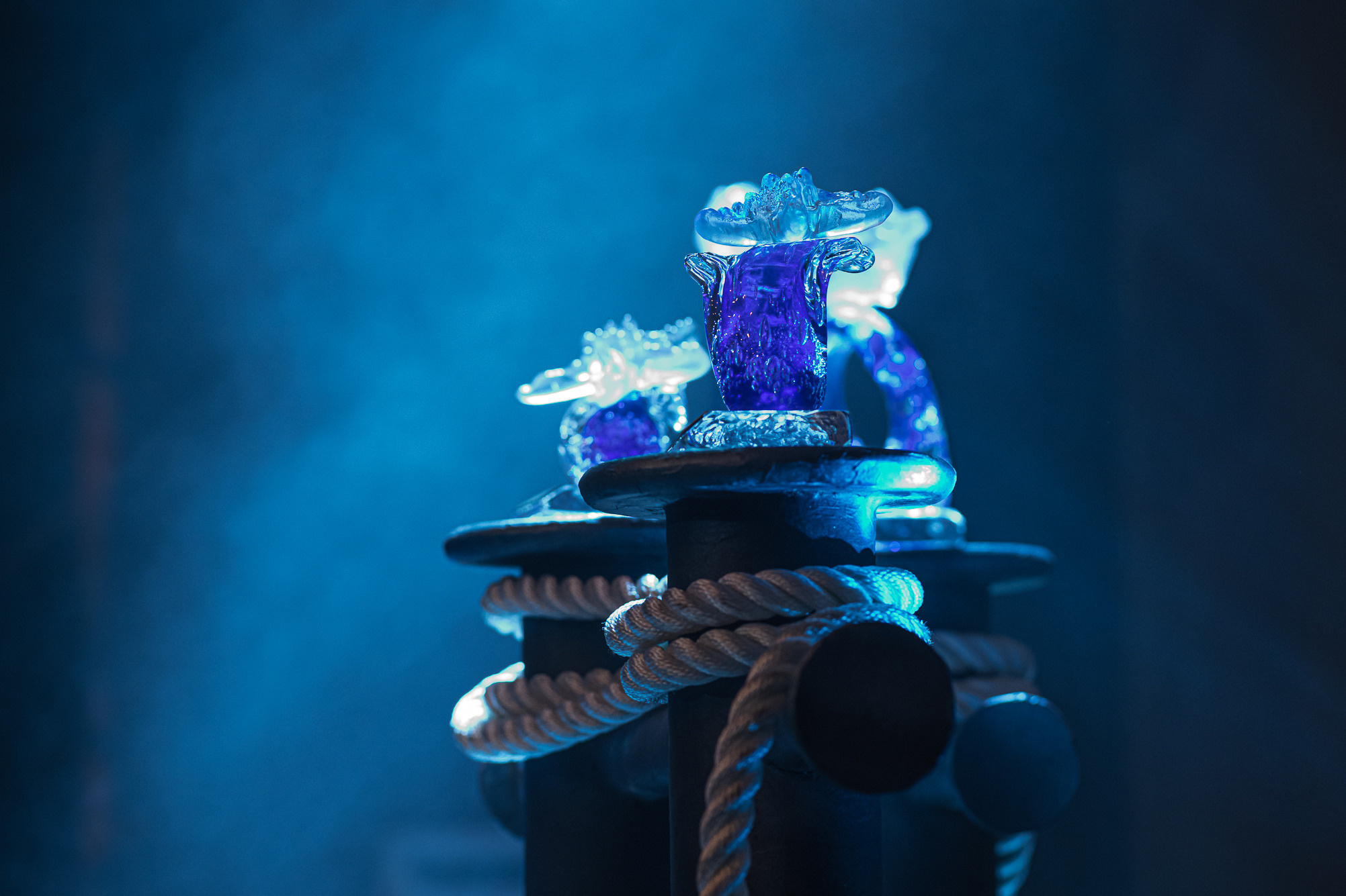 19 МКФ. Любимый фотограф