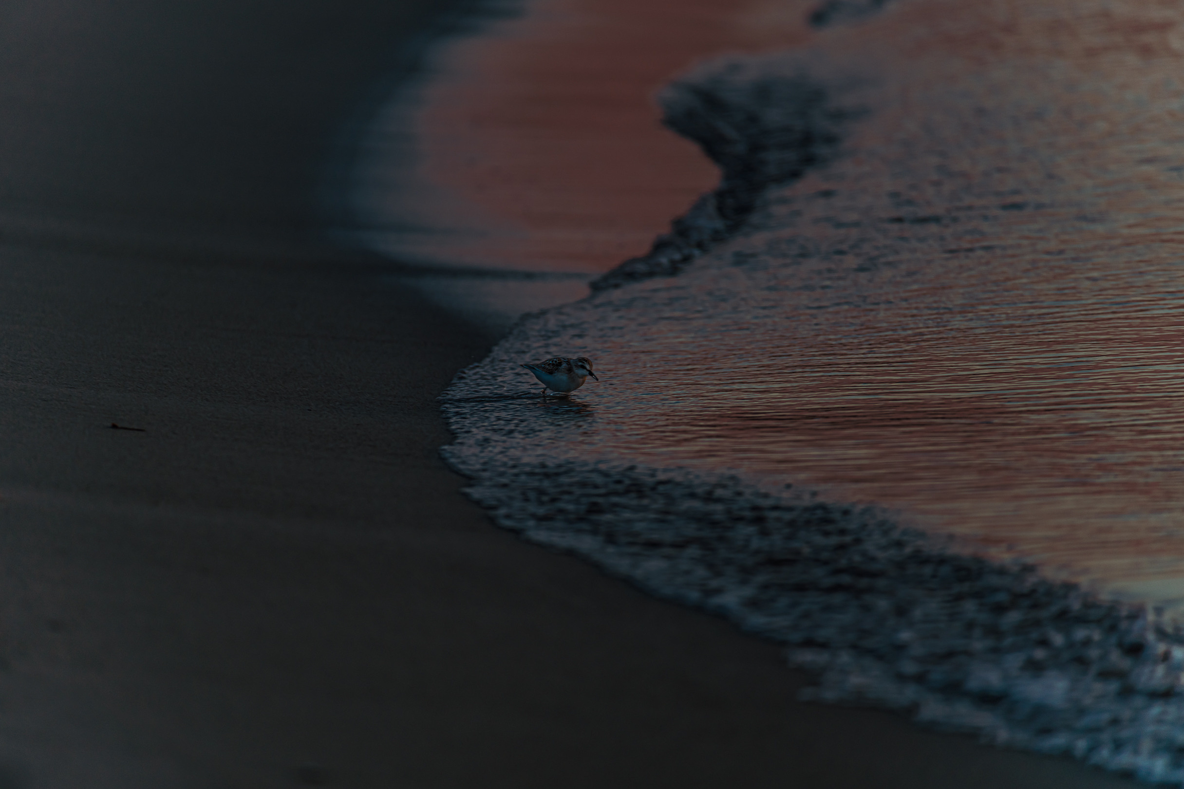 МОРЕ. Любимый фотограф