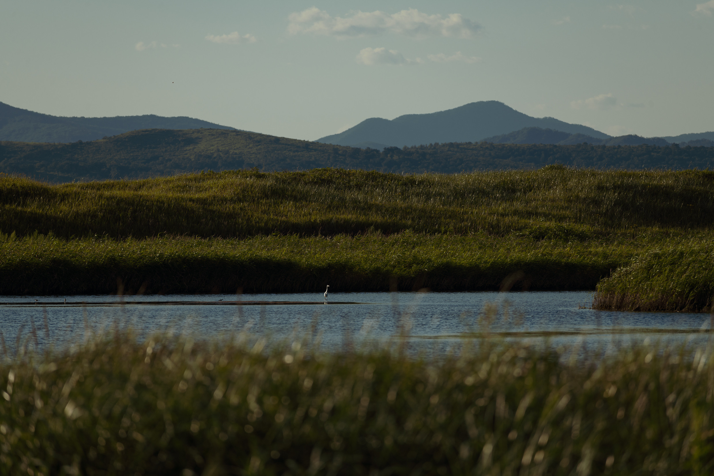 фотограф владивосток