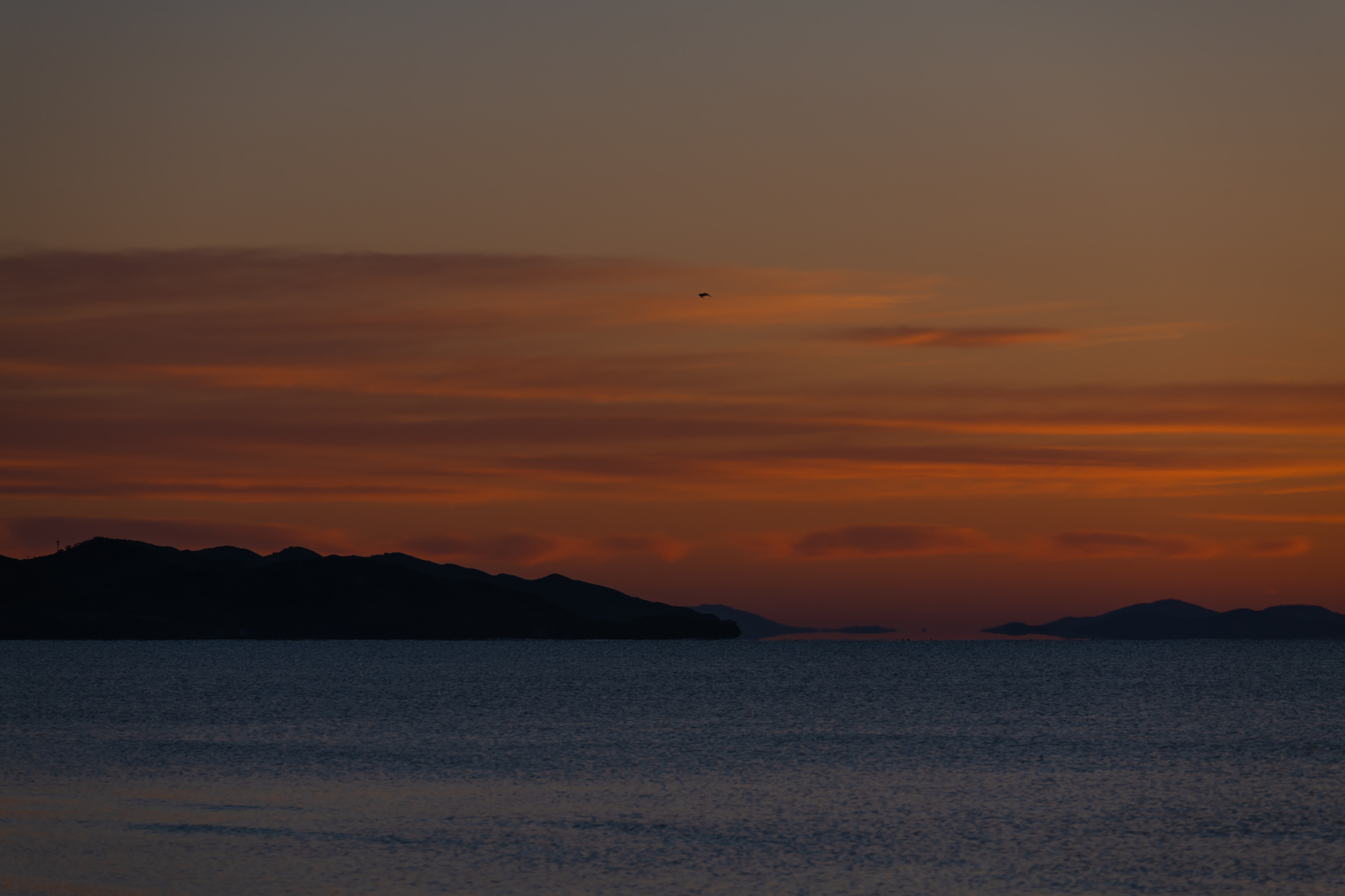 фотограф владивосток