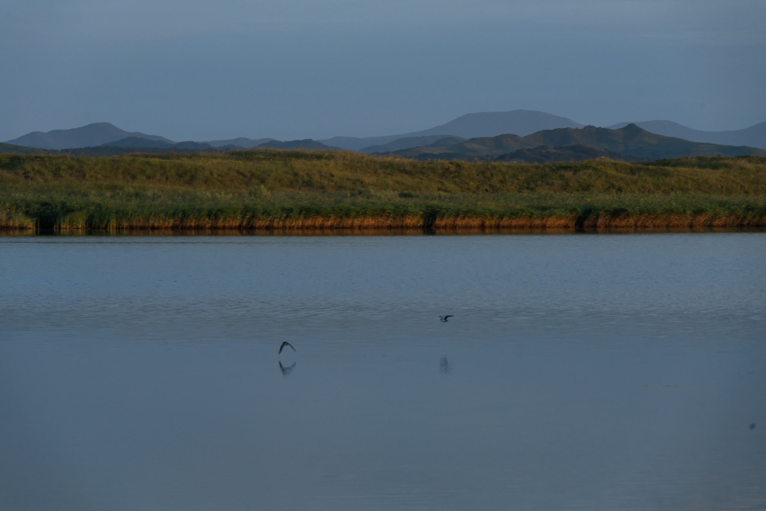 МОРЕ. Любимый фотограф