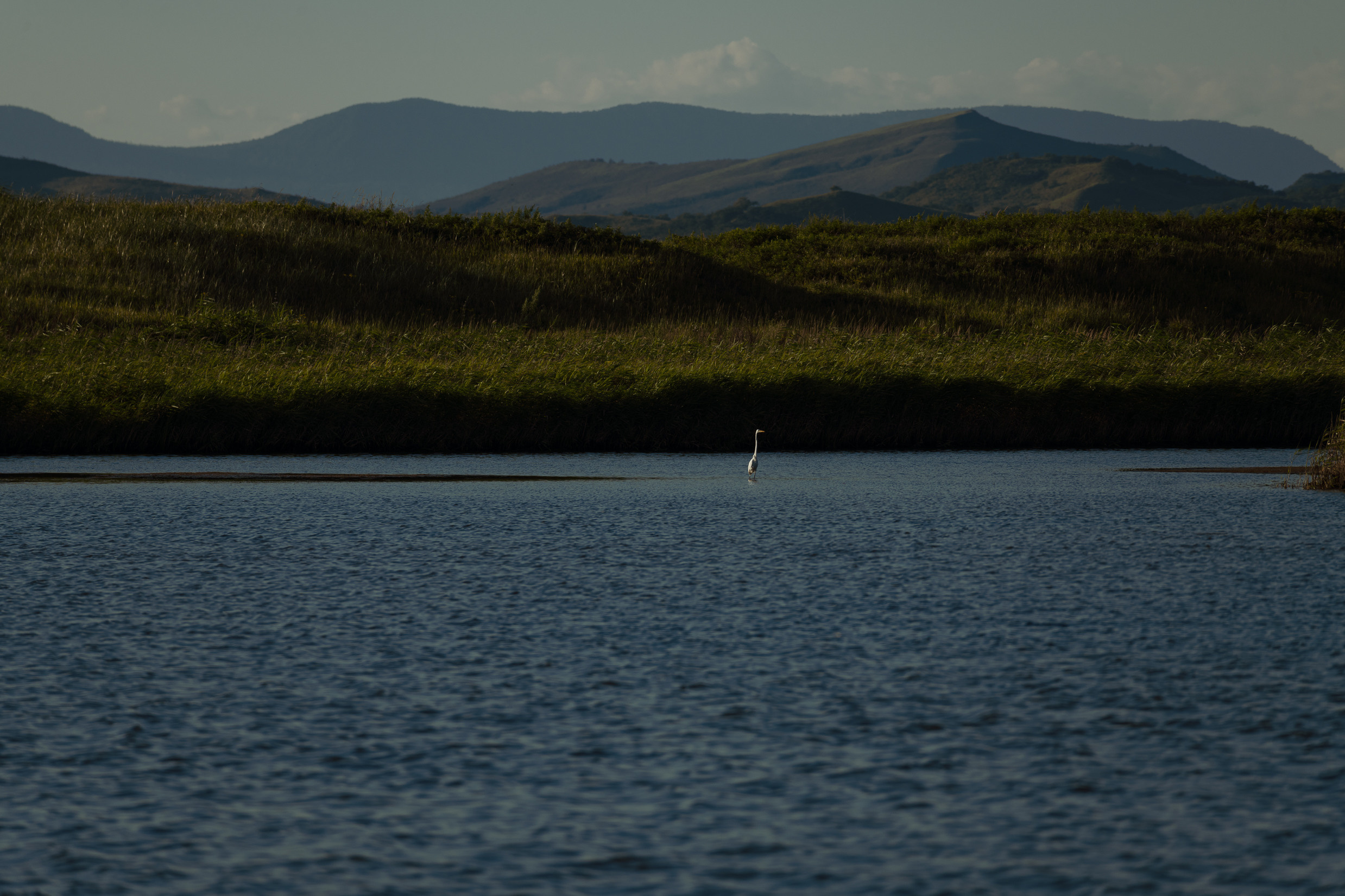 фотограф владивосток