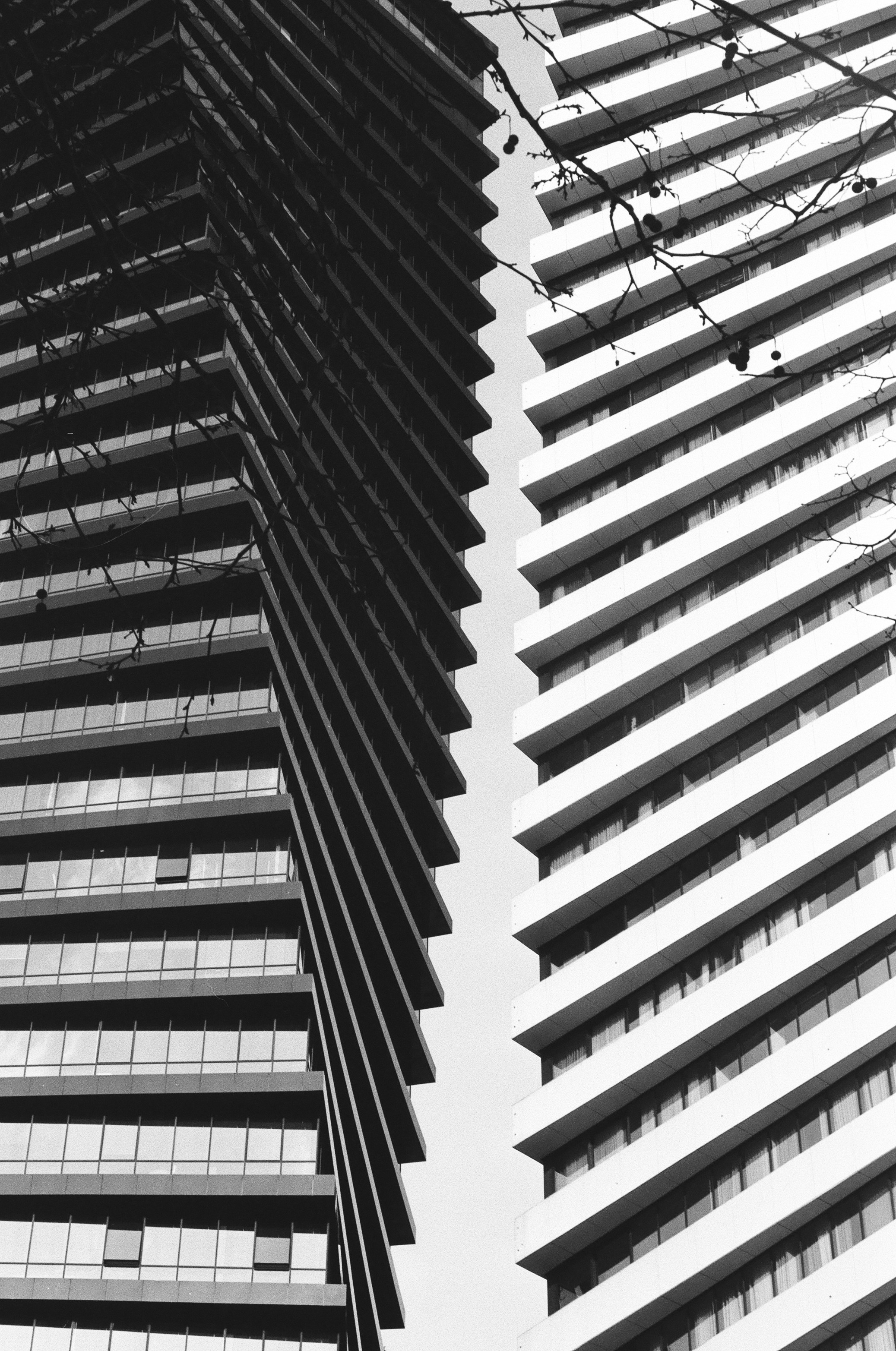 ON THE GO. Сocoobird || Атмосфера твоего бренда в снимках и видео