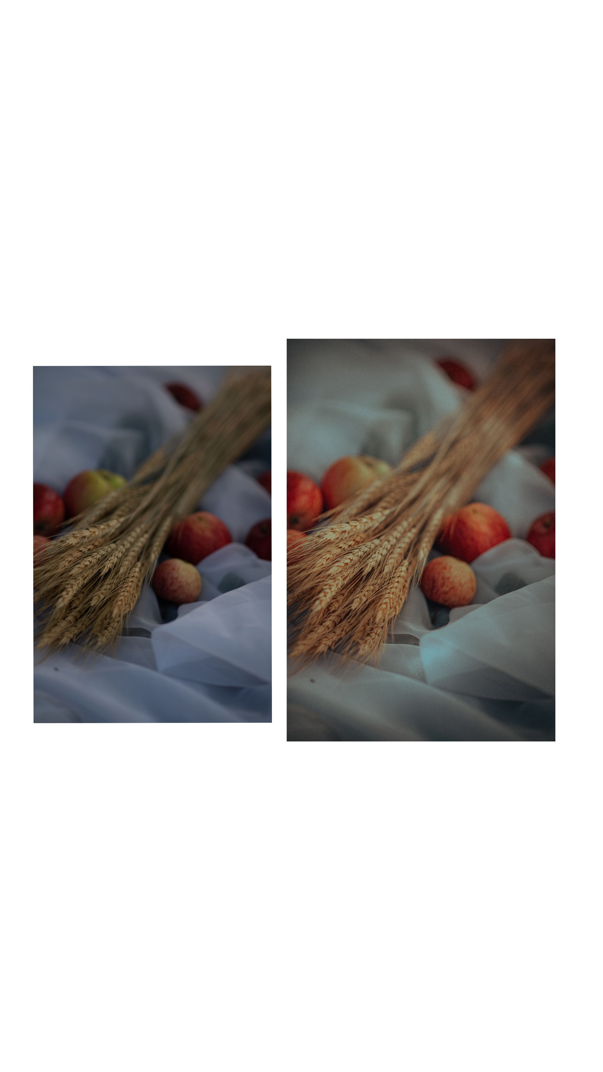 Вика. Свадебный и портретный фотограф lifestyle