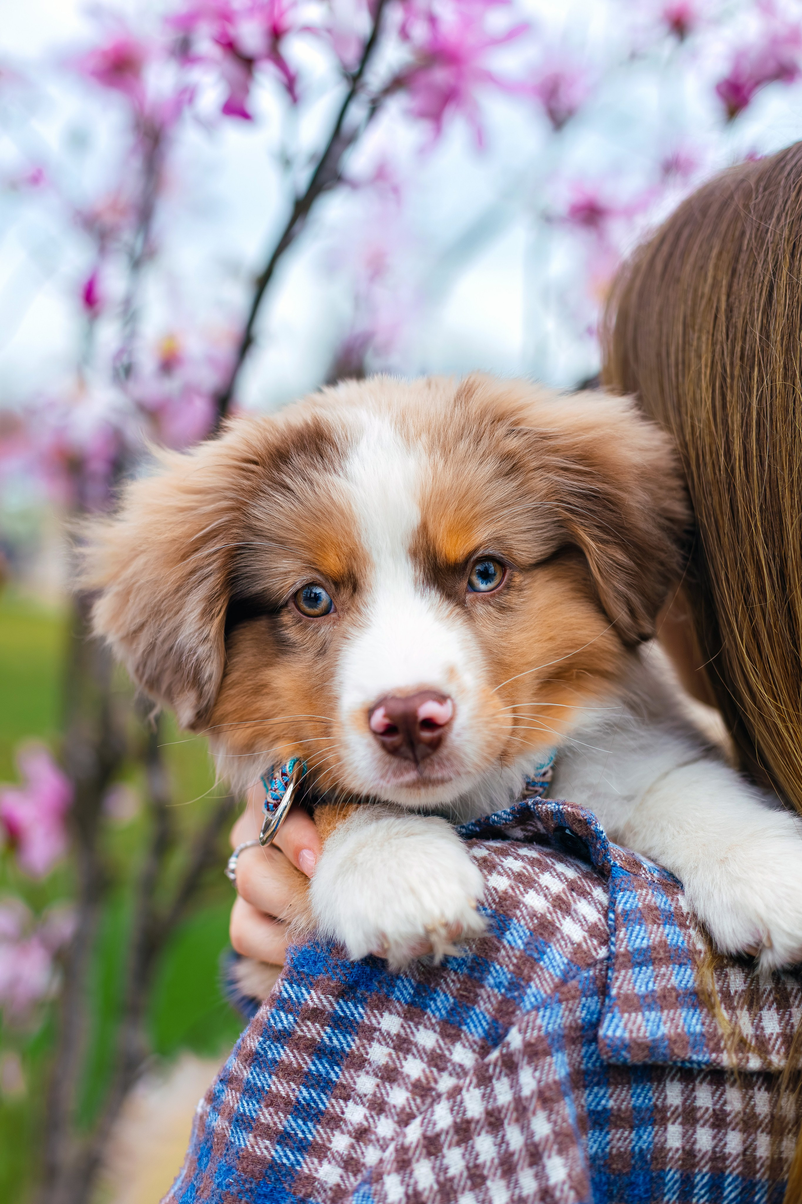 Фотопрогулка. Фотограф Марина Верятинская | Краснодар