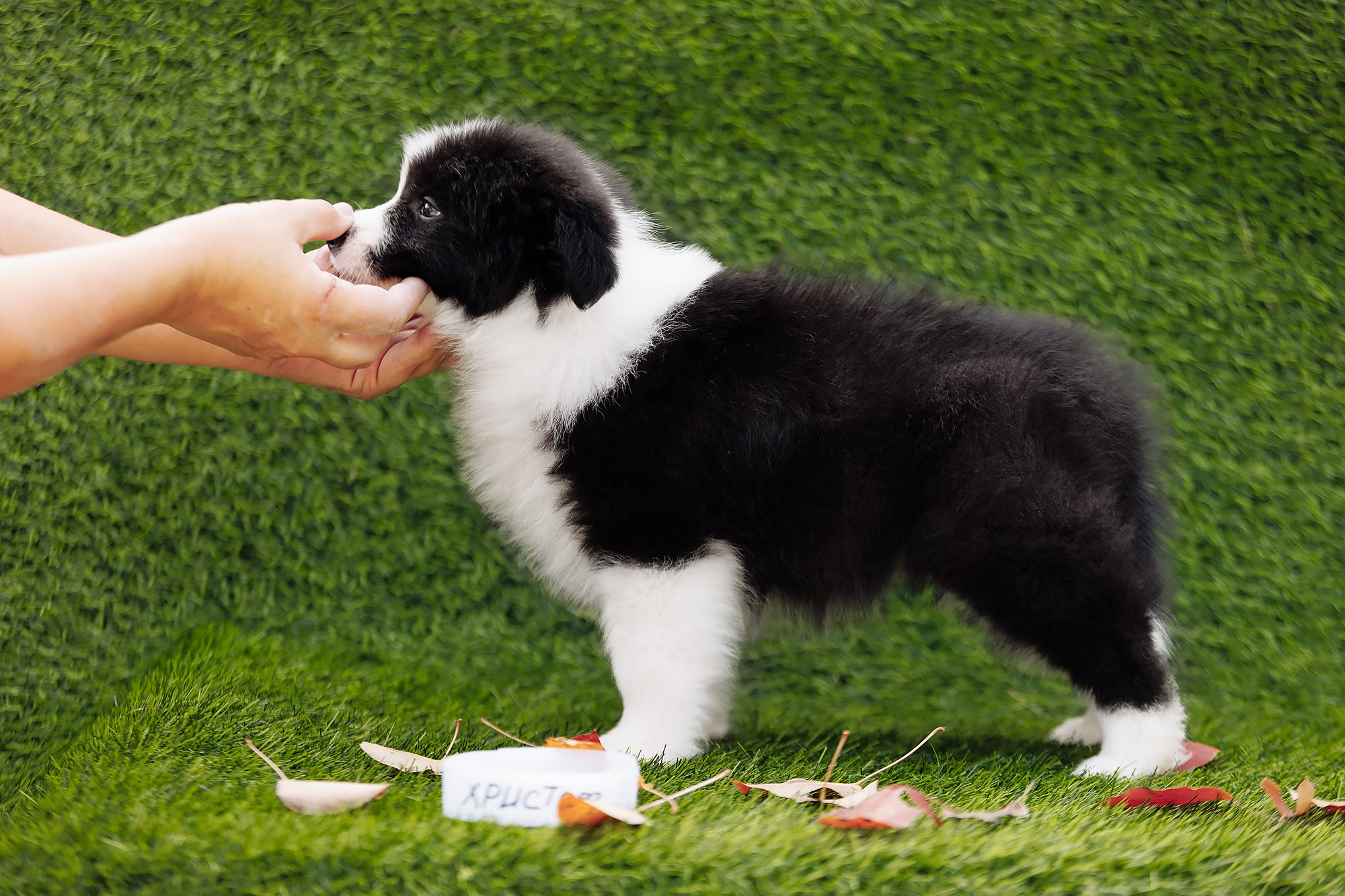 Новый лист. О нас