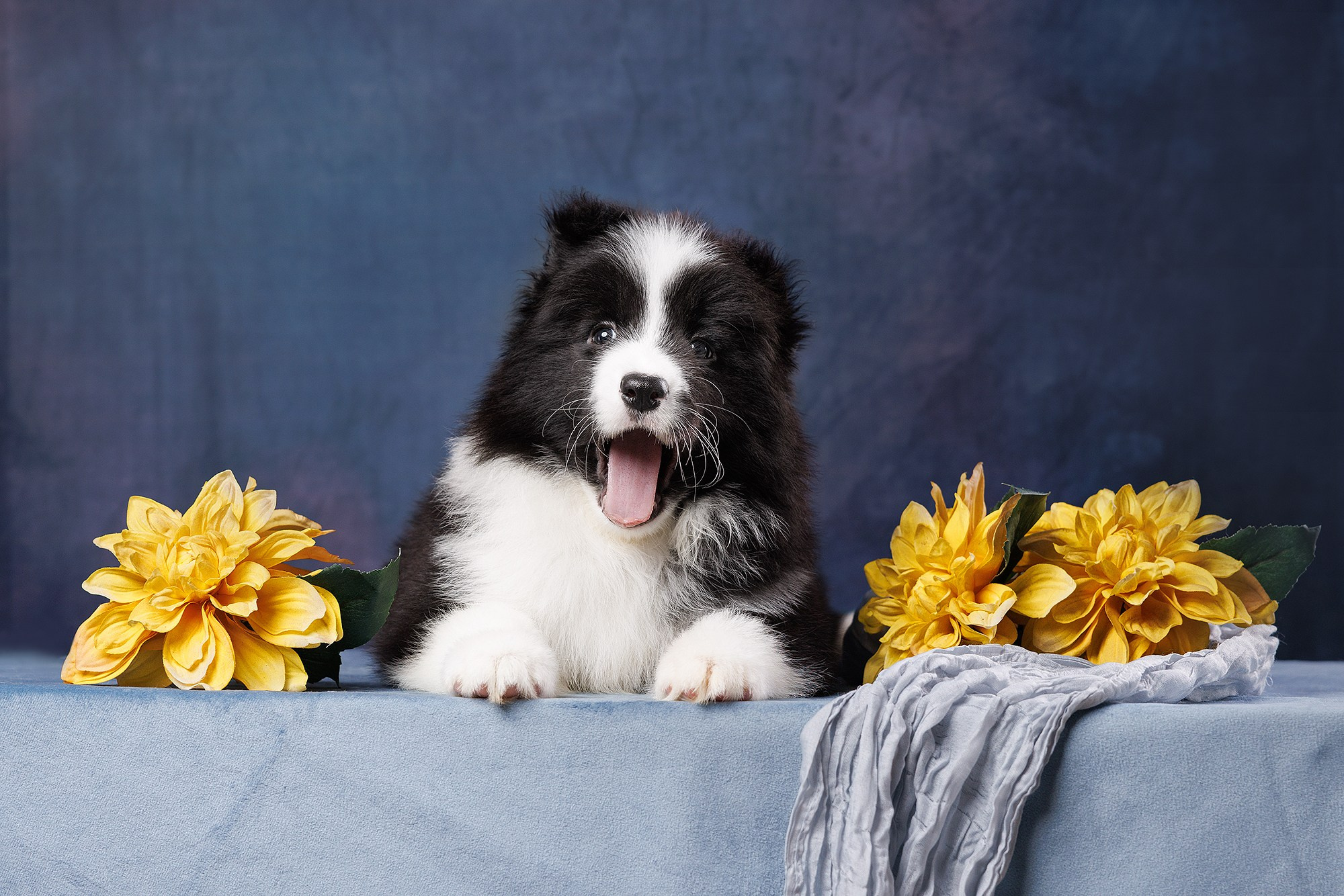 На водной основе. О нас