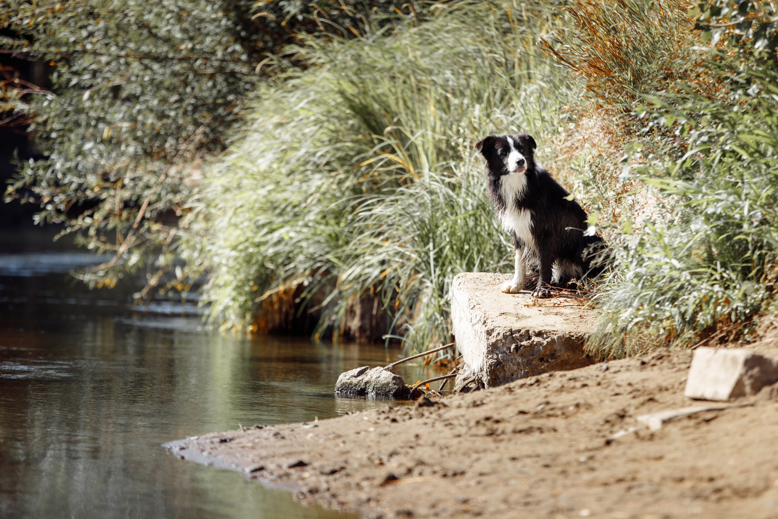 Водяные в Новотроицке. О нас