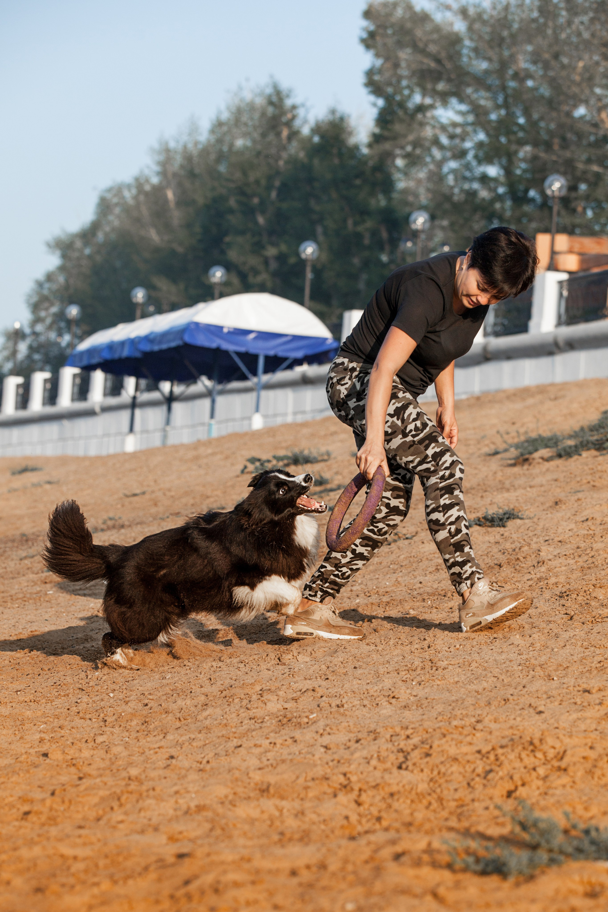 Сочный рассвет, на который решились. О нас