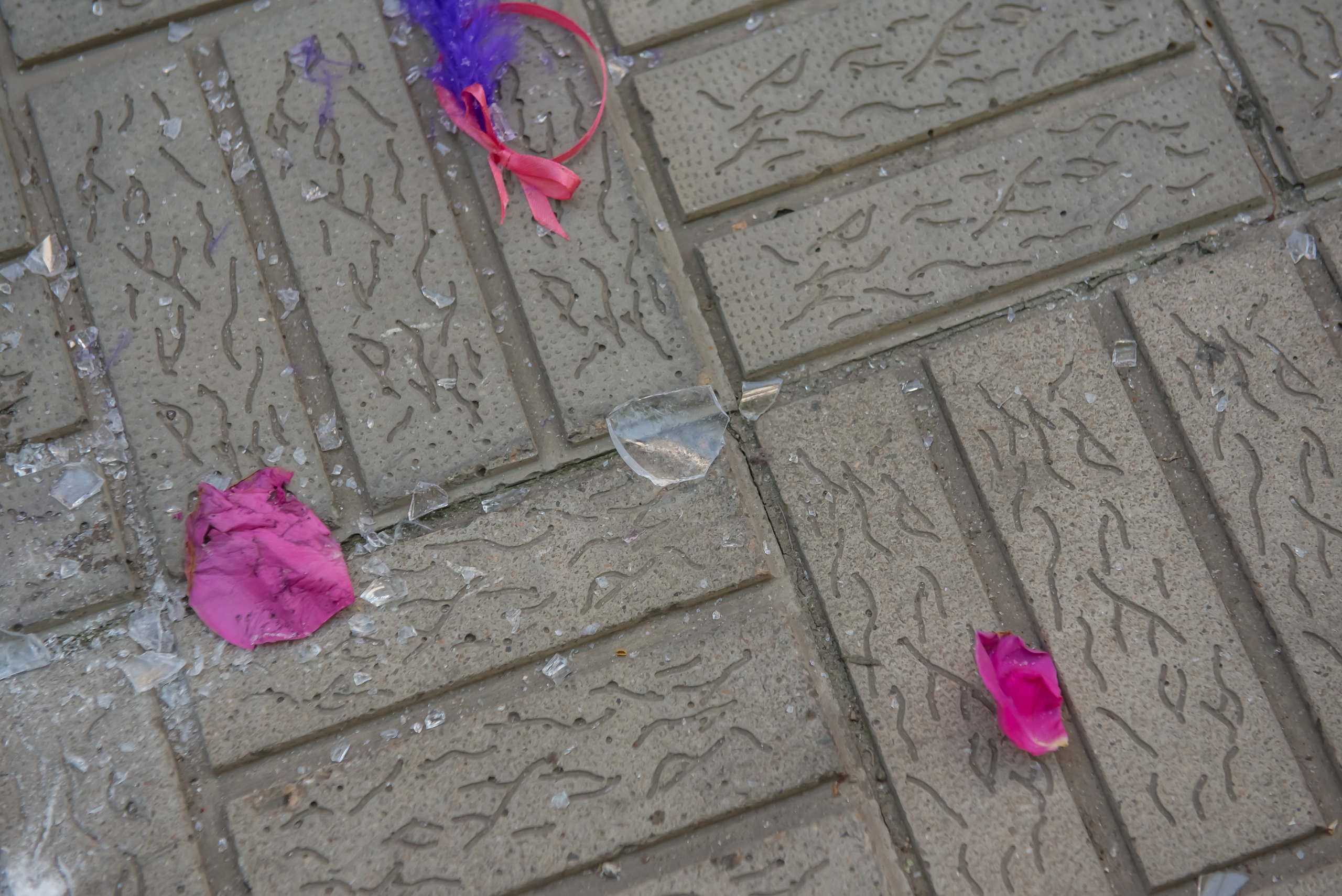 Свадебный фотограф иркутск. Ольга Ли свадебный семейный фотограф Иркутск