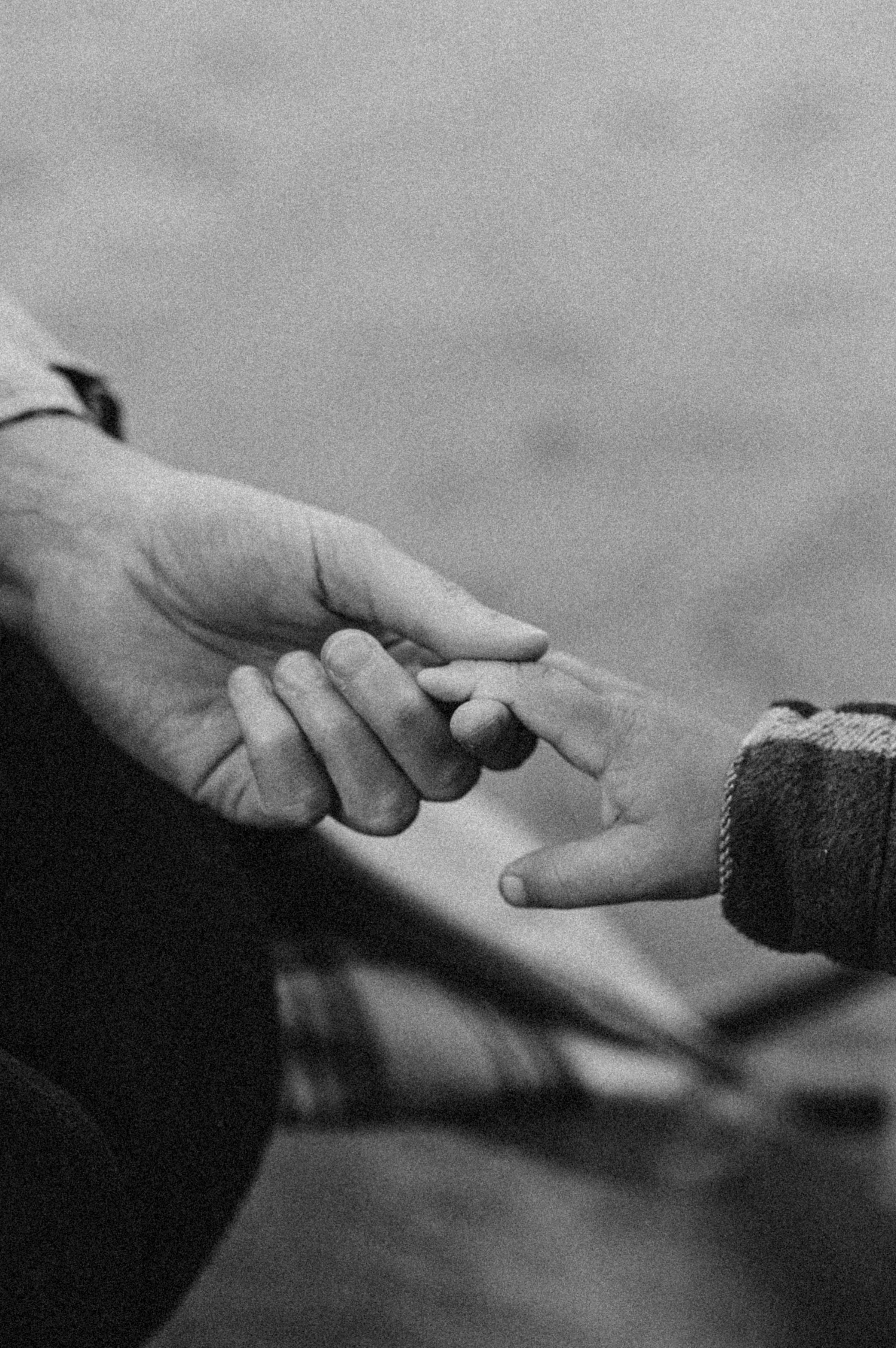 Вера и Миша. Свадебный и семейный фотограф в Чите Юлия Оранская