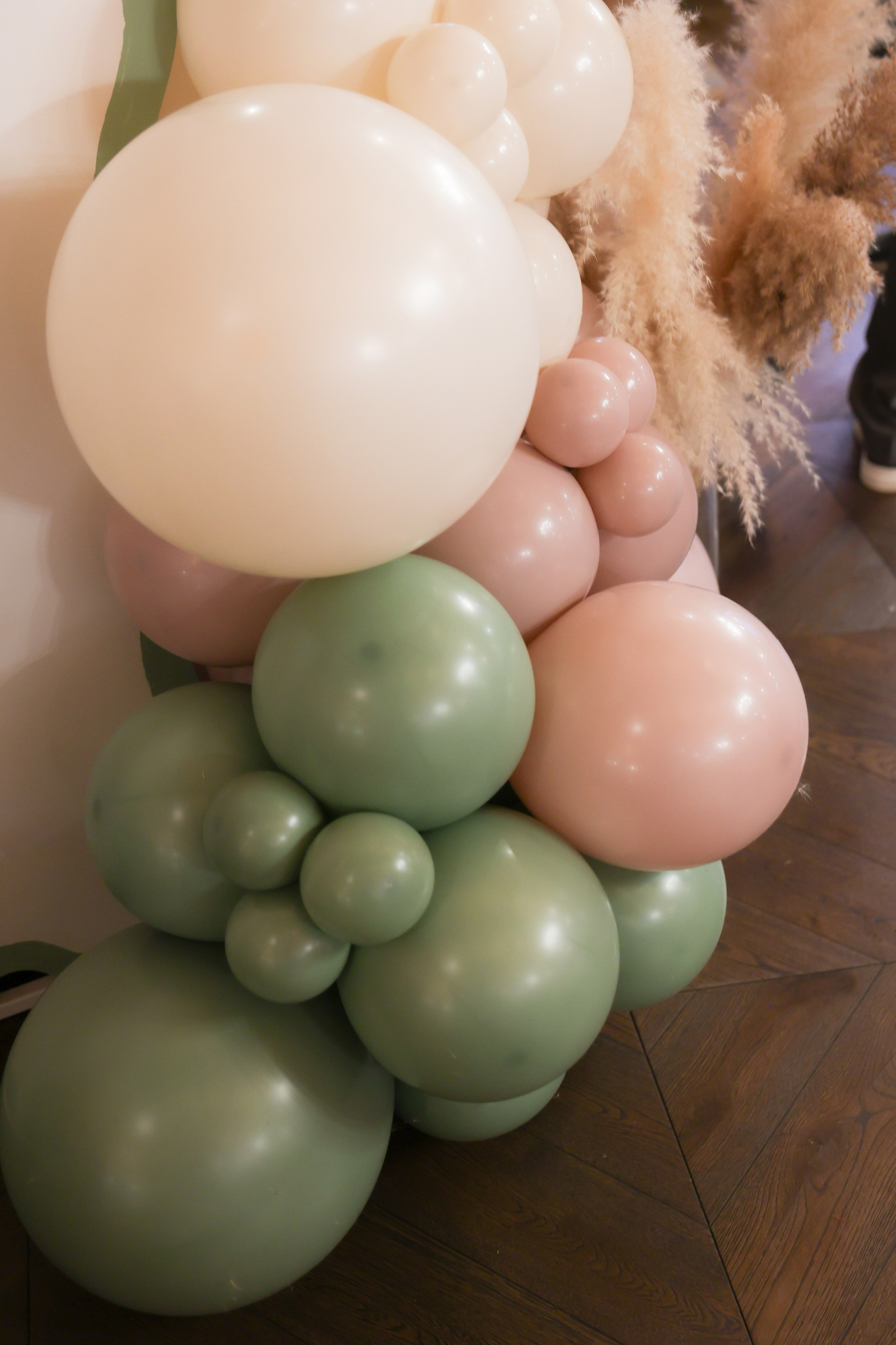 Серафимыч в пути. Фотограф НатаФото (Наталья Яковенко) Дмитров Москва Питер