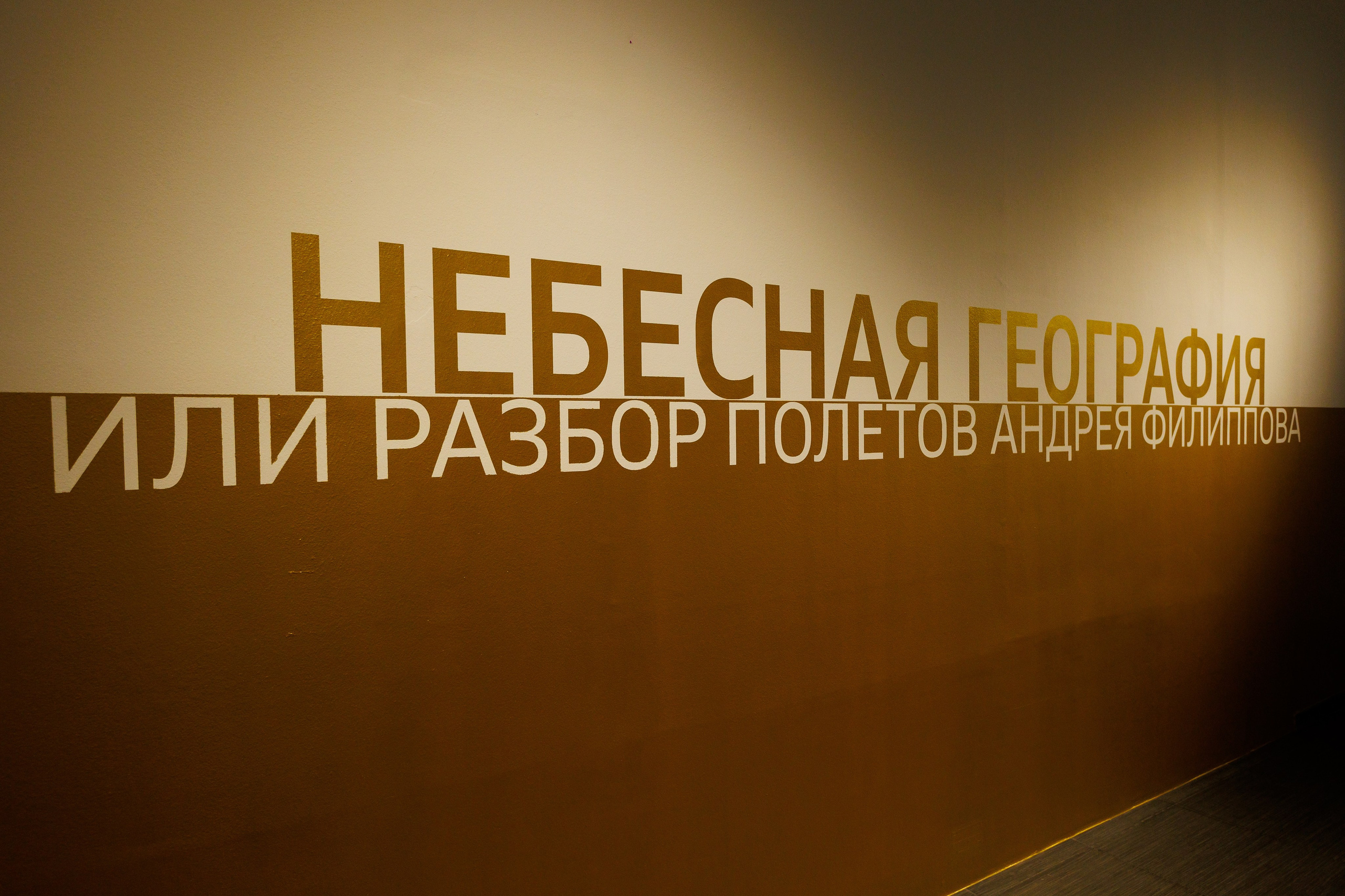 Открытите выставки Небесная География или разбор полетов Андрея Филиппова. Фотограф Иван Недорез