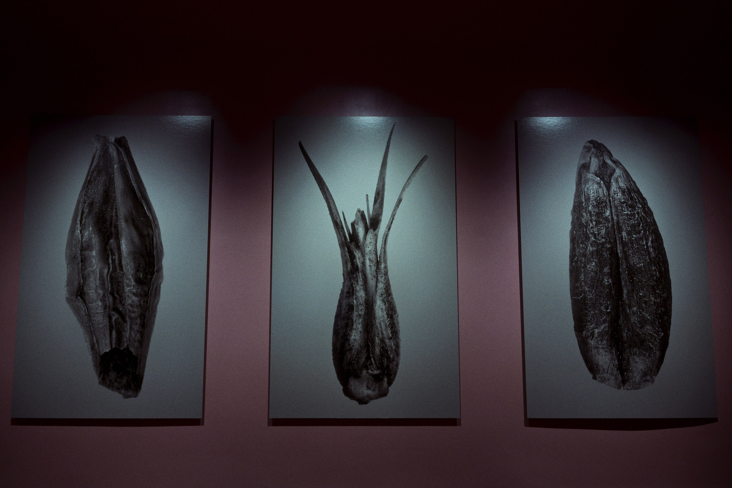 Garage MCA / “Грядущий мир: экология как новая политика. 2030–2100”. Фотограф Юрин Евгений