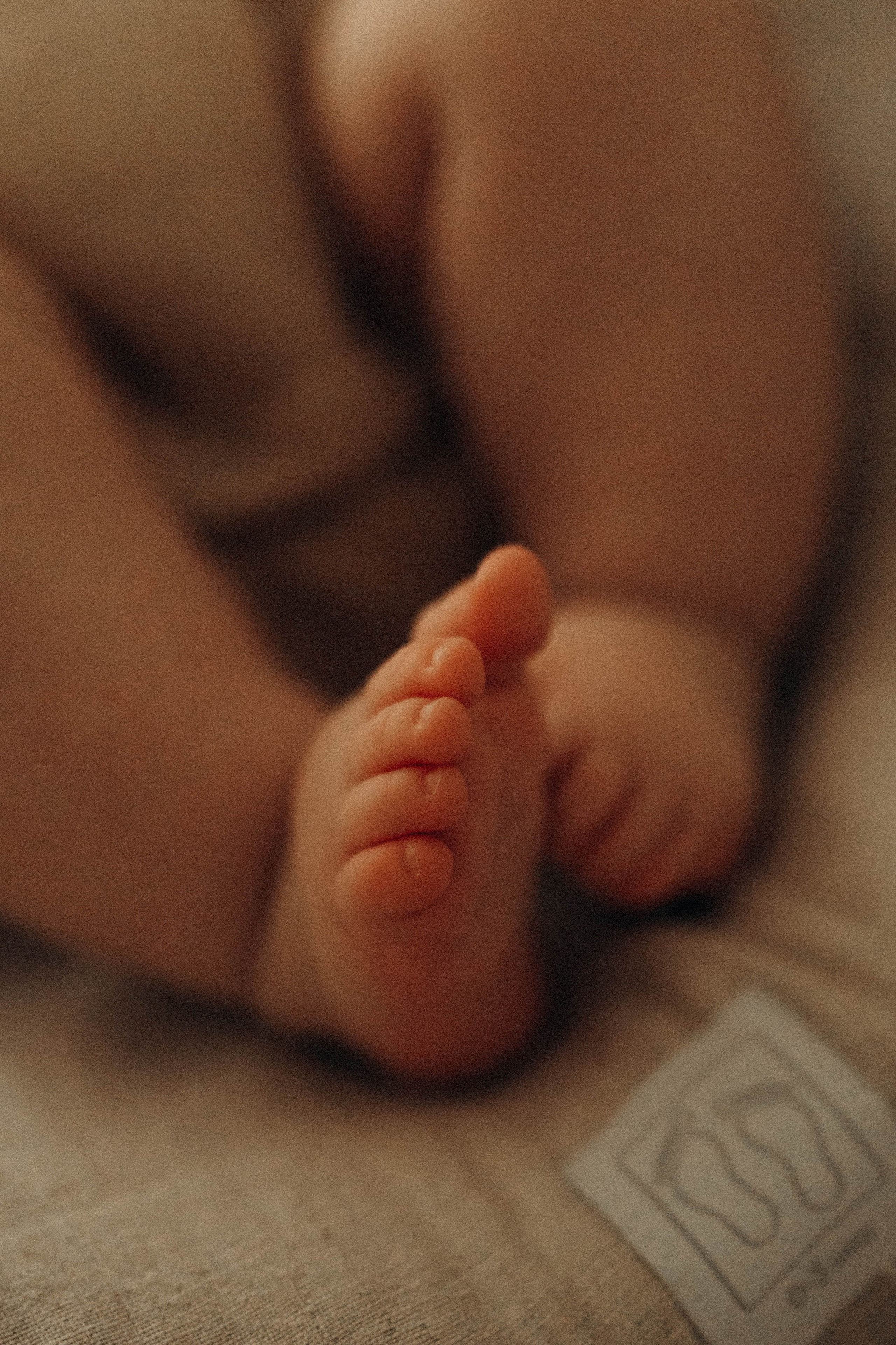 Вика, Дима, Адель, Анисия. Семейный фотограф Юлия Котова