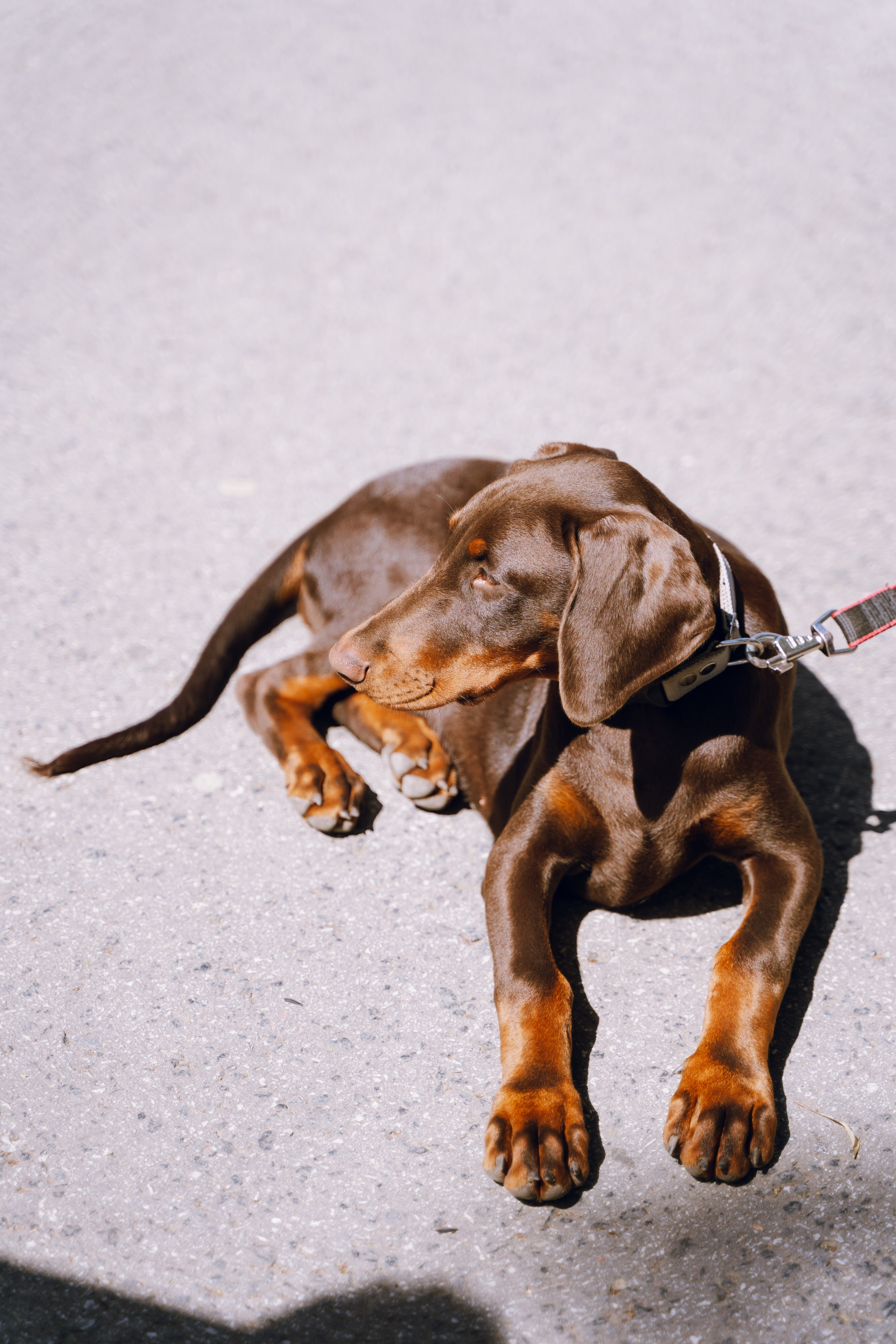 Площадка фестиваля «Мампус и его друзья» в Лесопарке 2025. Фотограф Надежда Погребняк | Рязань | Москва