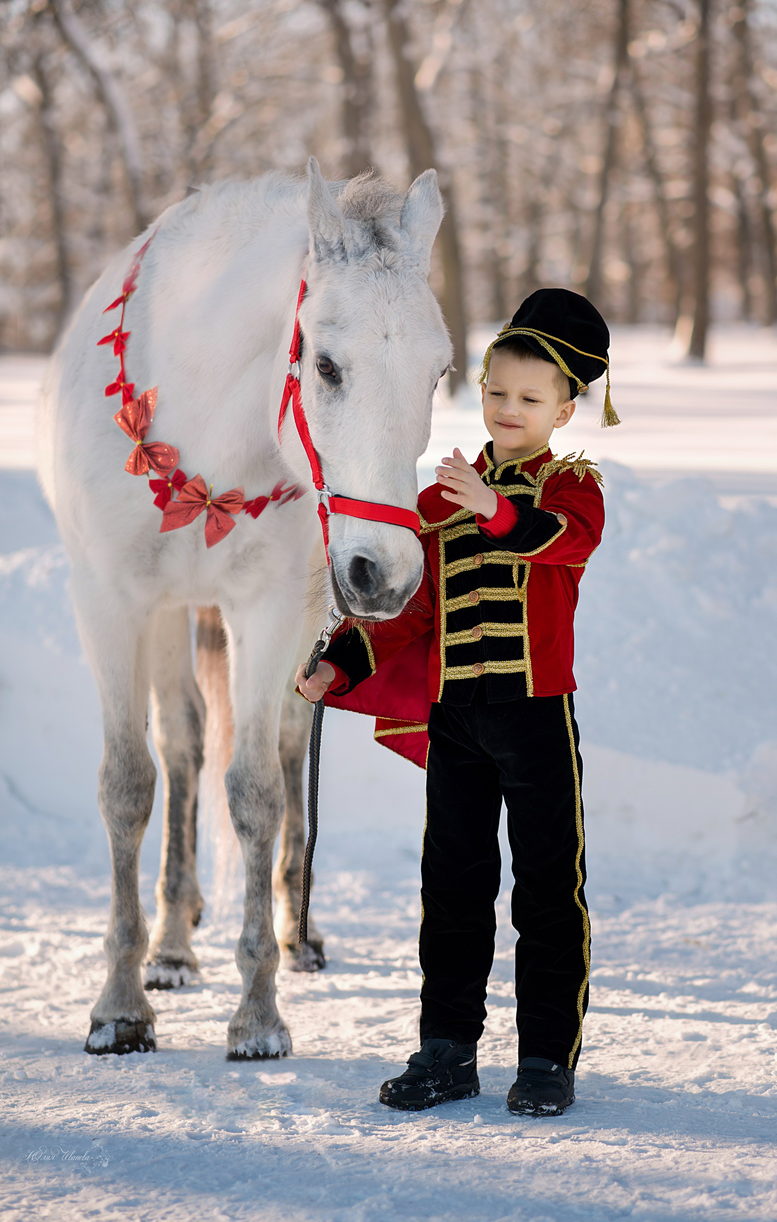 Семейная съемочка с Гипнозом. Конный фотограф в Саратове Юлия Иванова