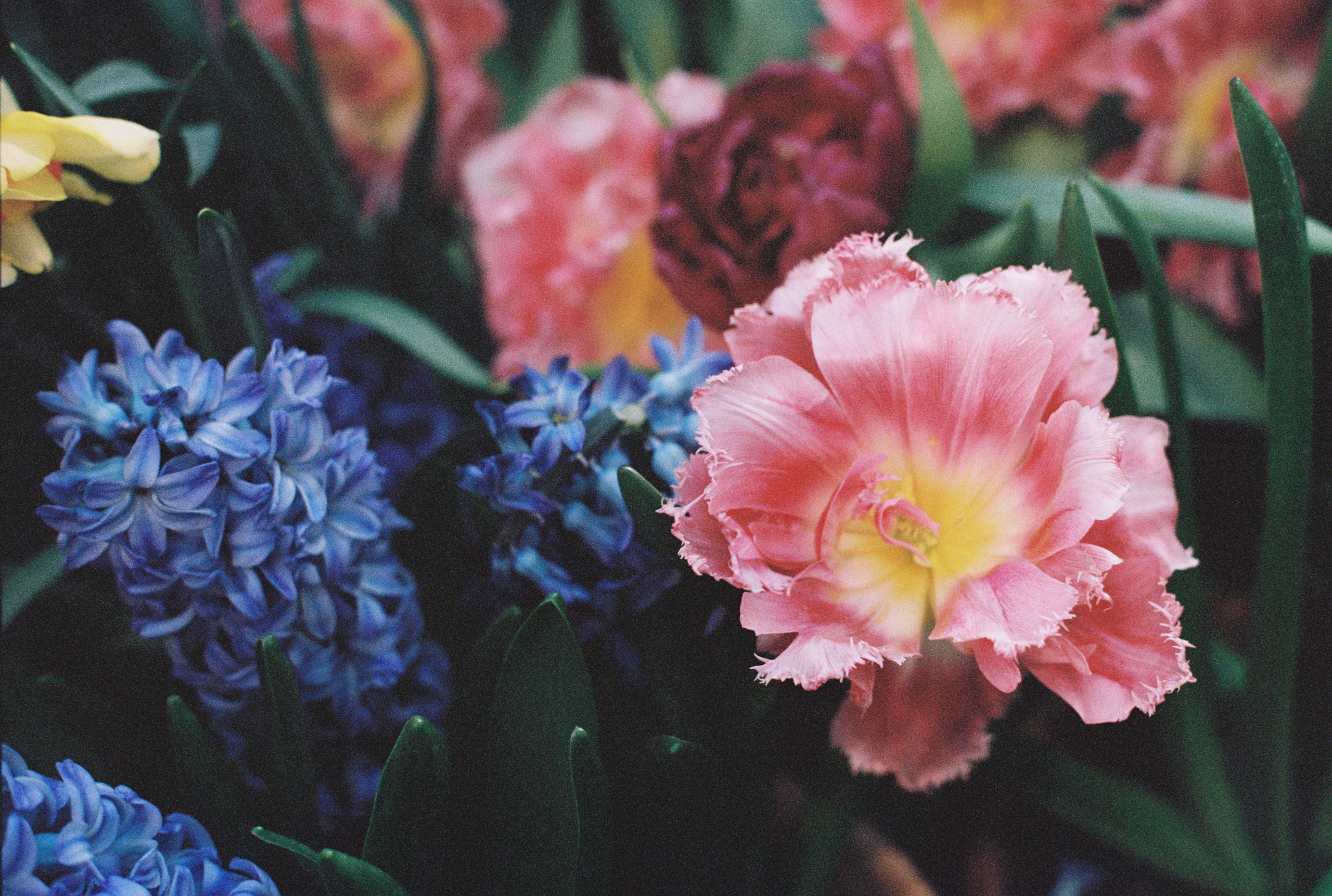 Автор: Марьяна Ноженко