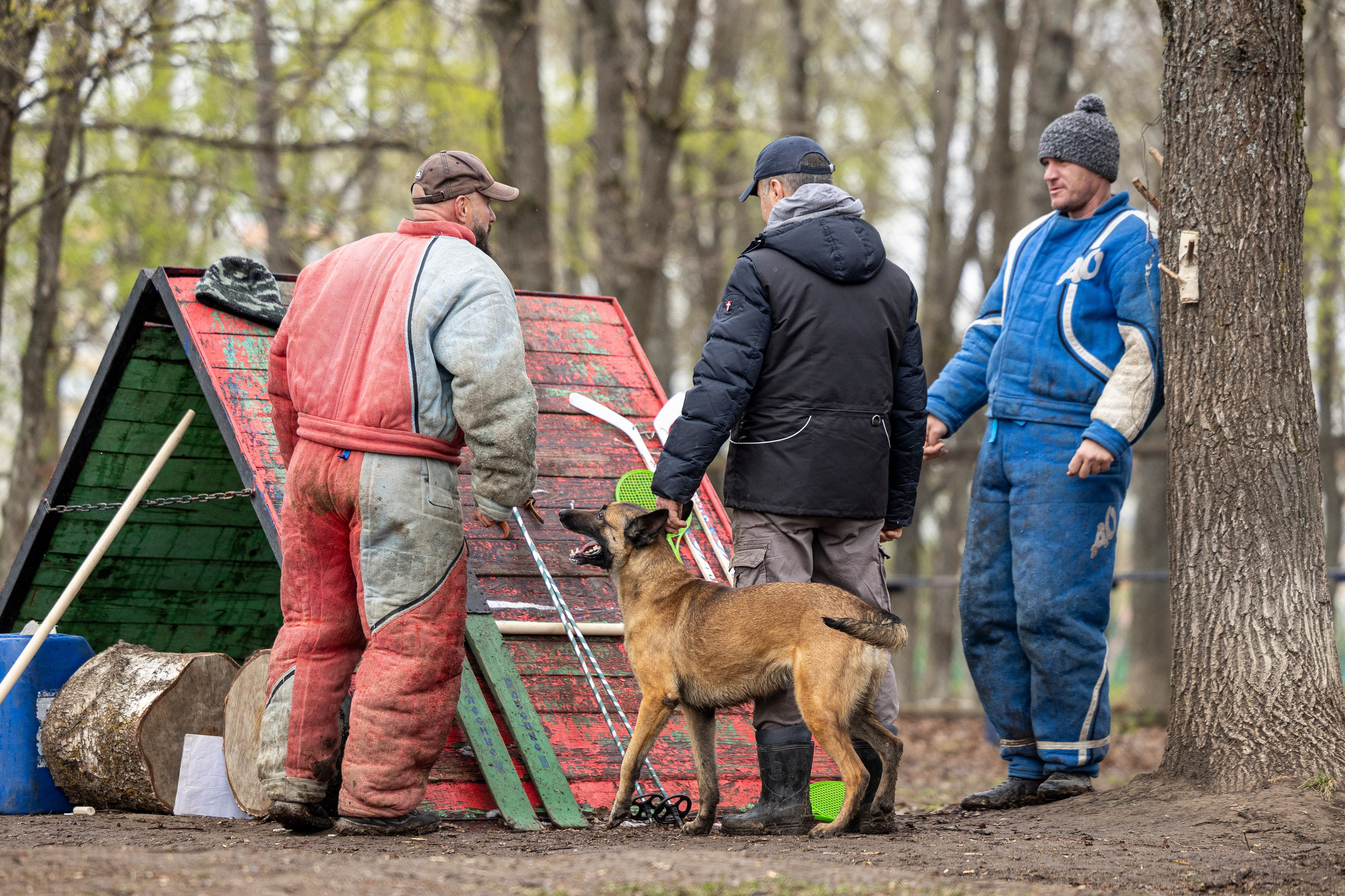 Квалификационные состязания по мондьорингу г. Вологда 11.05.24. Фотограф-анималист Анна Маринич
