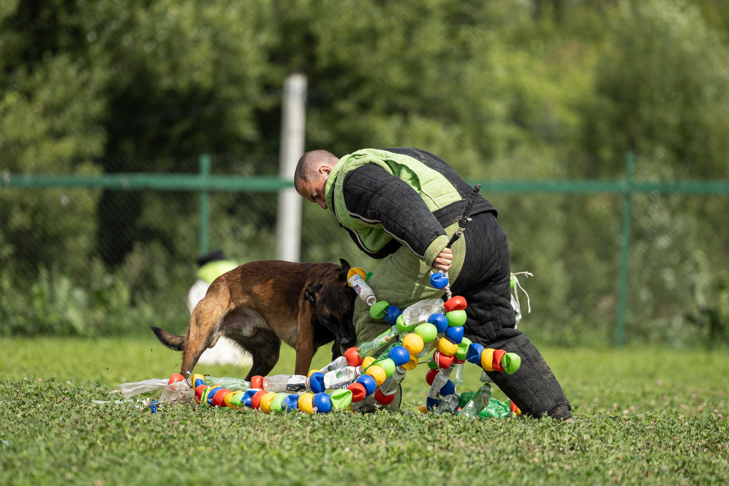 Соревнования по Мондьорингу г. Вологда 10-11.08.2024. Фотограф-анималист Анна Маринич