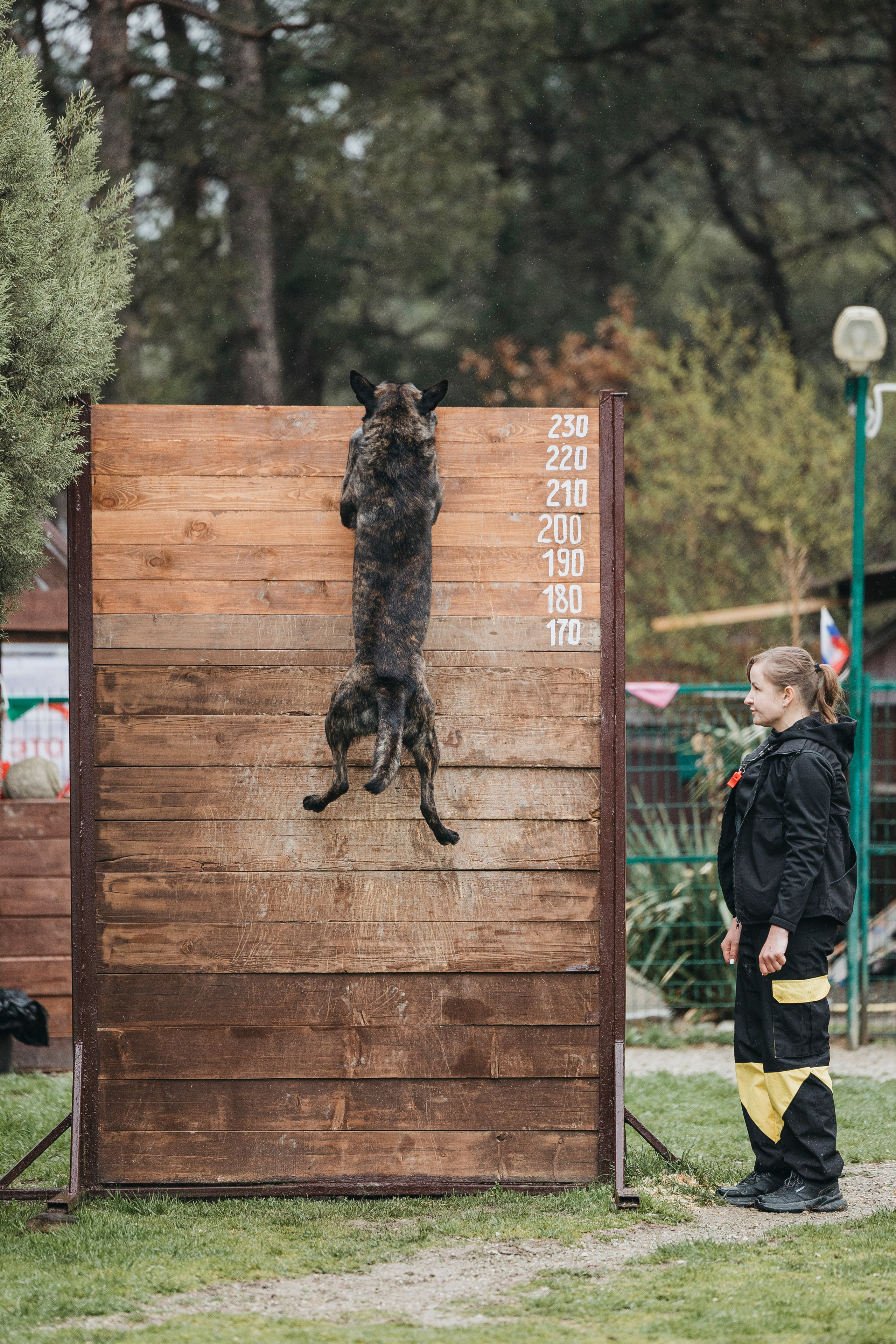 Геленджик Мондьоринг. Фотограф-анималист Анна Маринич