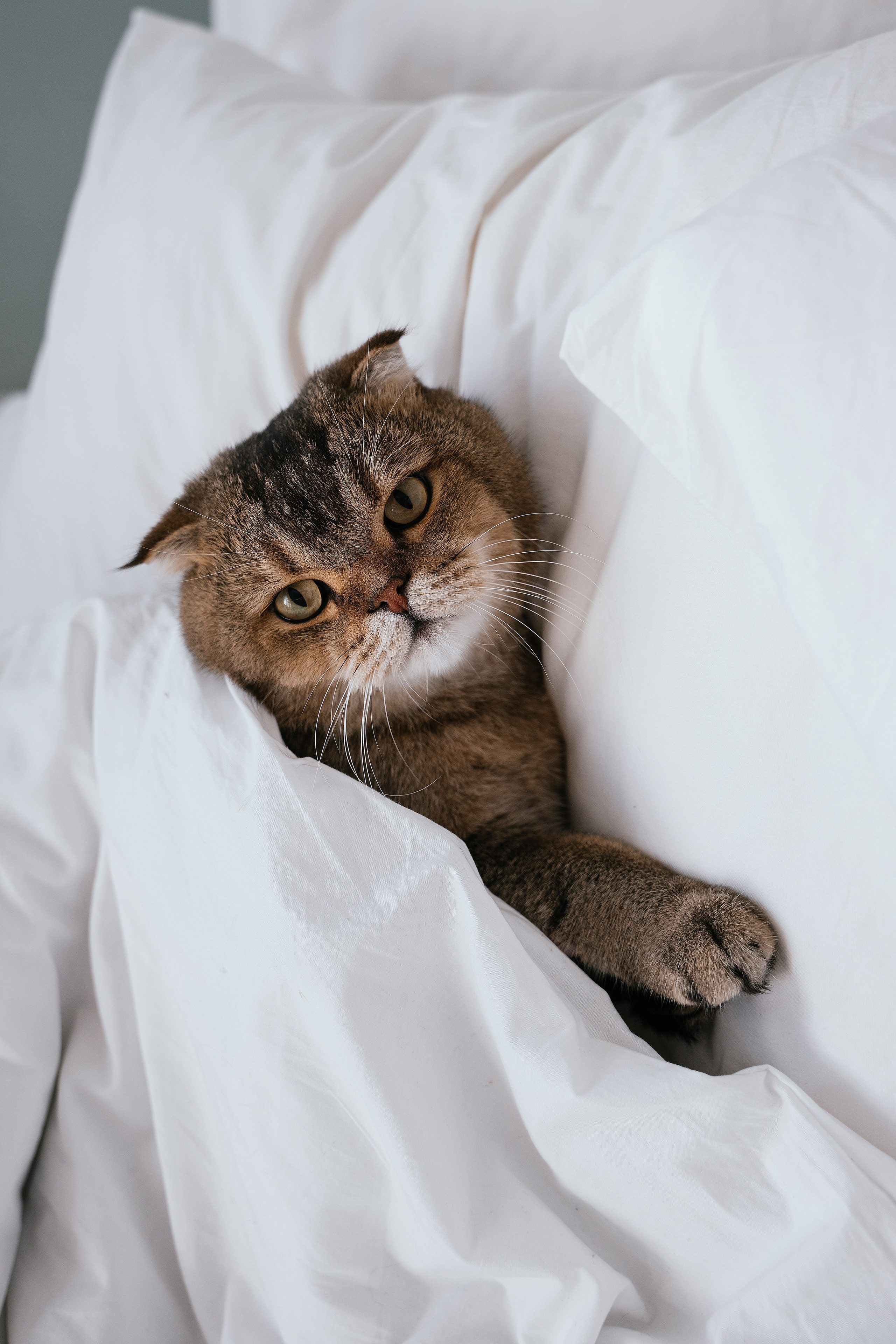 Женя и Кекс. Свадебный, семейный фотограф в Рязани Лена Брант