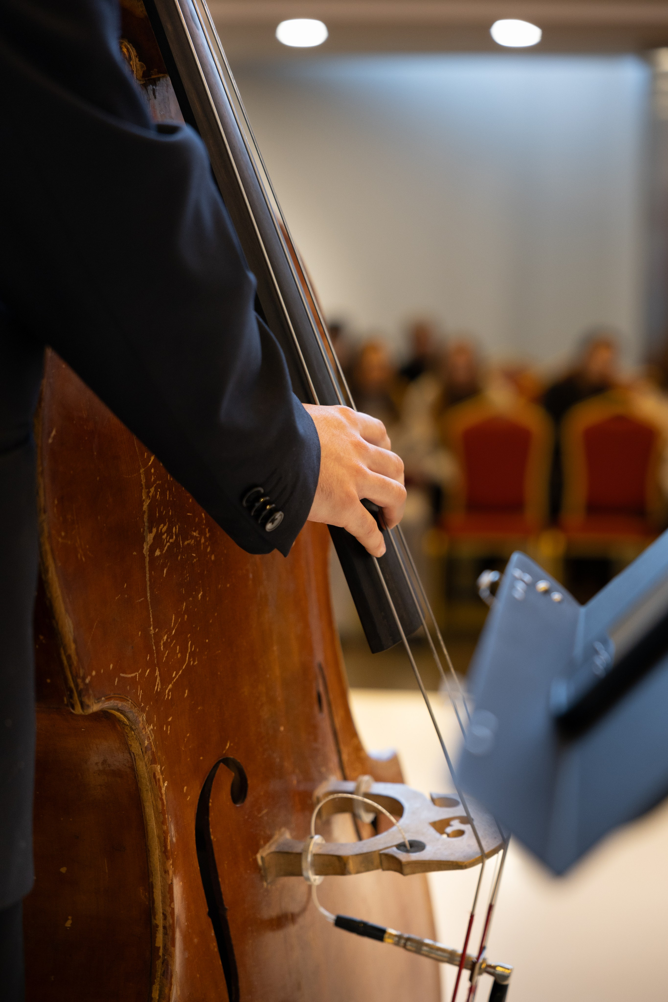 «Jazzed in Siberia». Фотограф Новосибирск, Академгородок — Айна