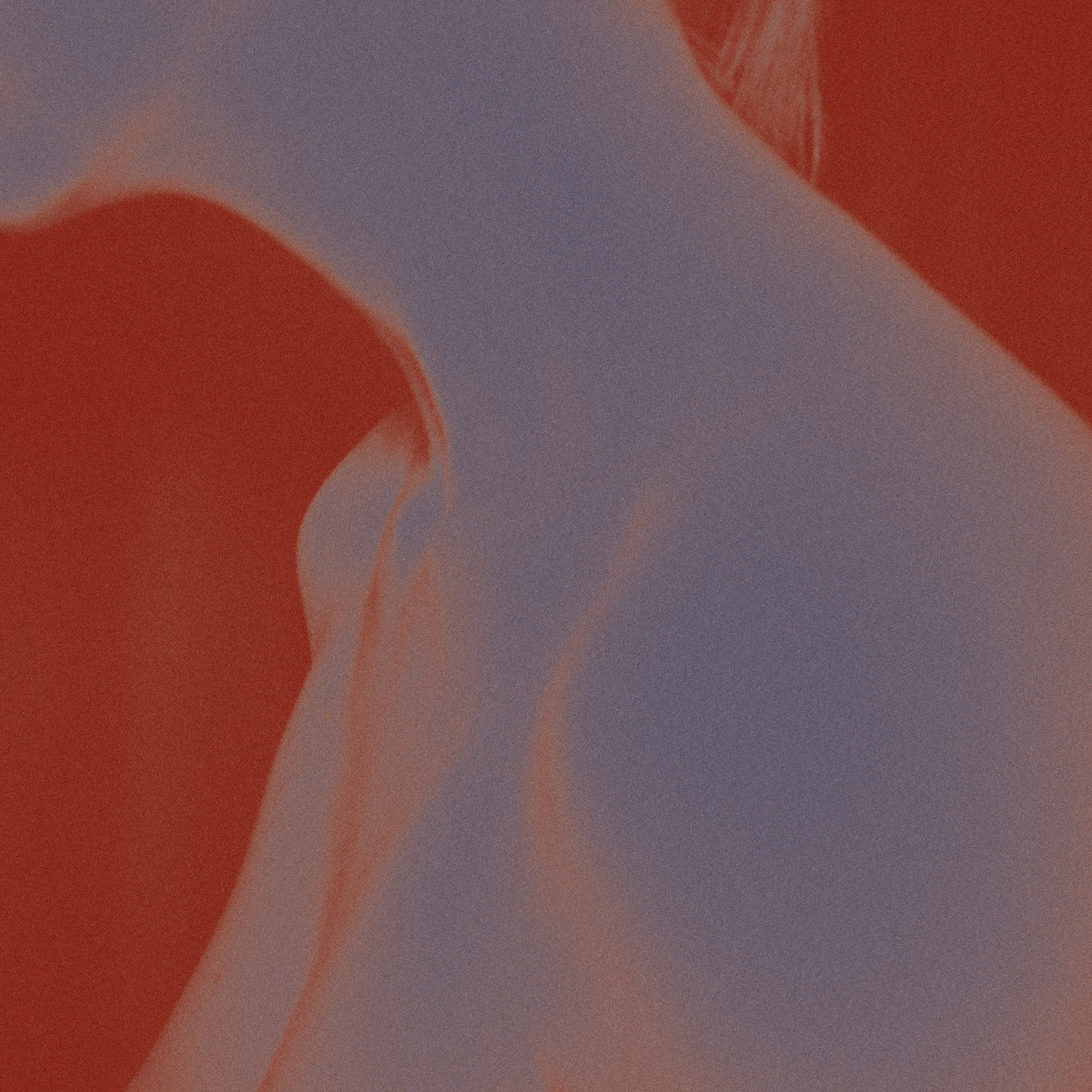 Daily. VISUAL ARTIST · KRONGAUZ ANASTASIA