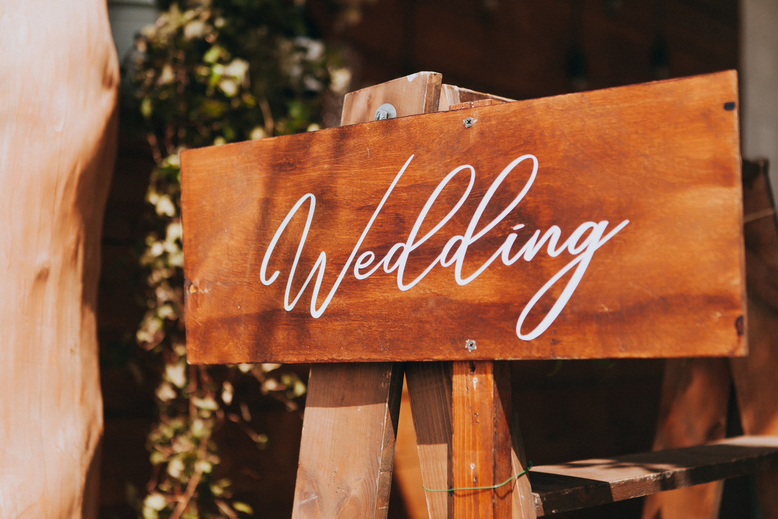 Настя & Женя. Свадебное фото и видео Москва Кристина Музыка