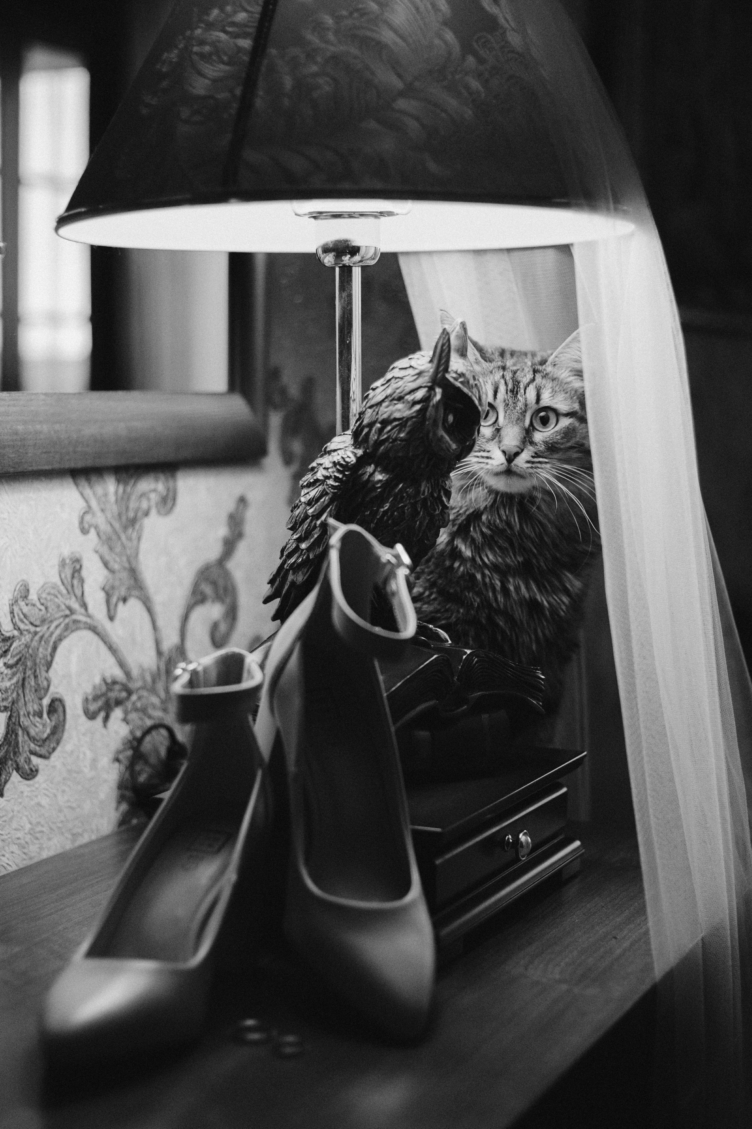 Свадебная фотосессия зимой в студии Москва. Свадебное фото и видео Москва Кристина Музыка